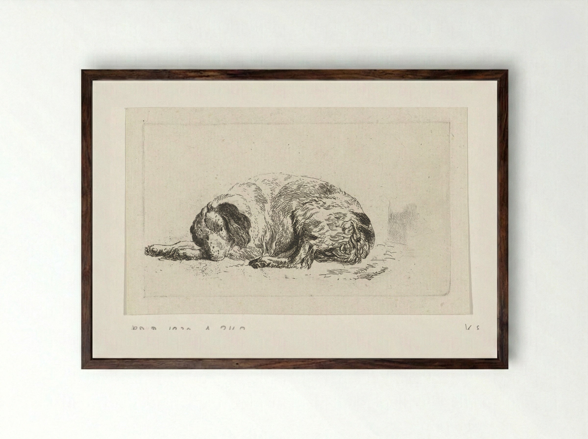 Liggende hond (Lying Dog) - Pieter Gerardus van Os - Framed Print Dark Wood