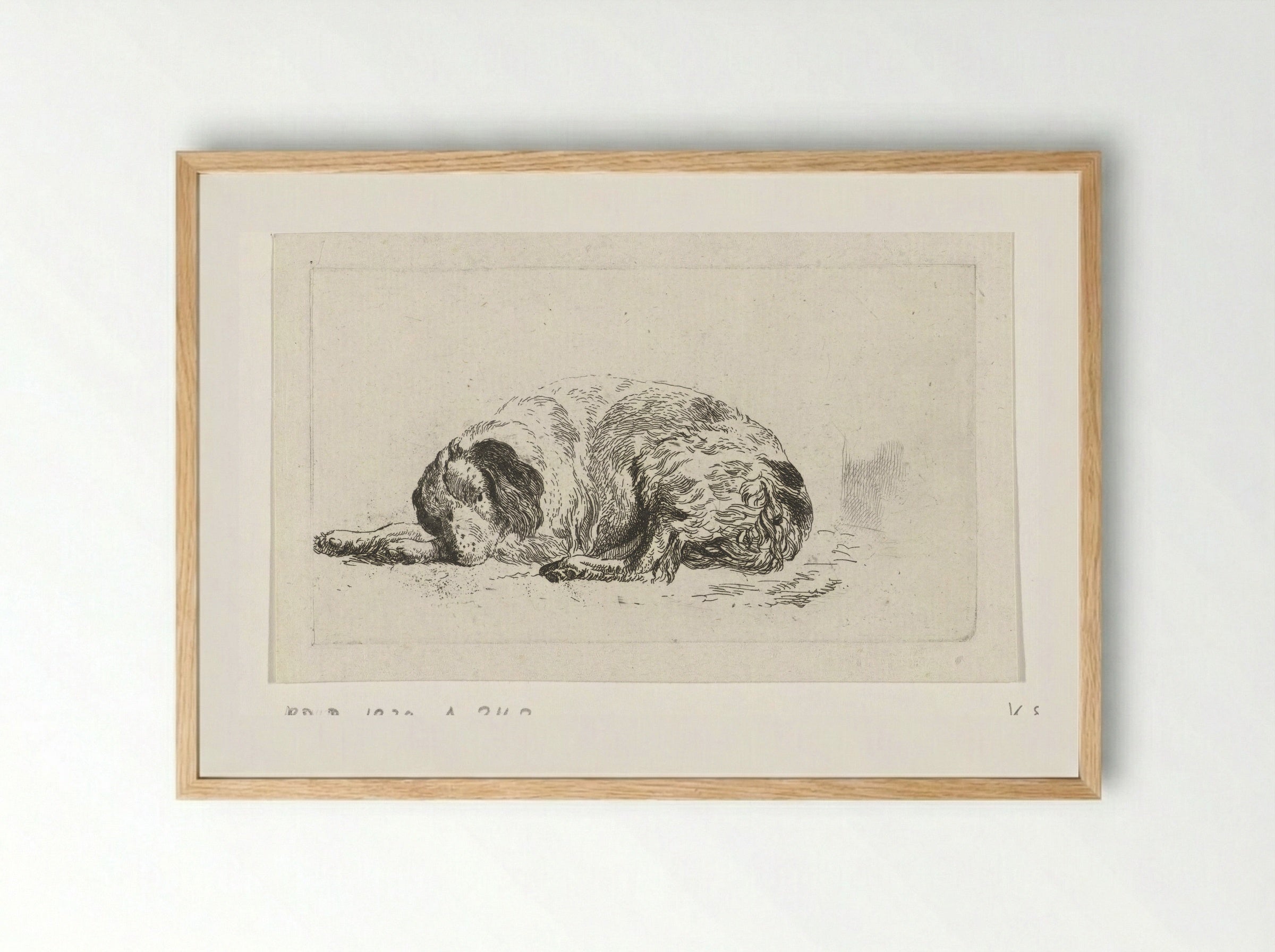 Liggende hond (Lying Dog) - Pieter Gerardus van Os - Framed Print Wood