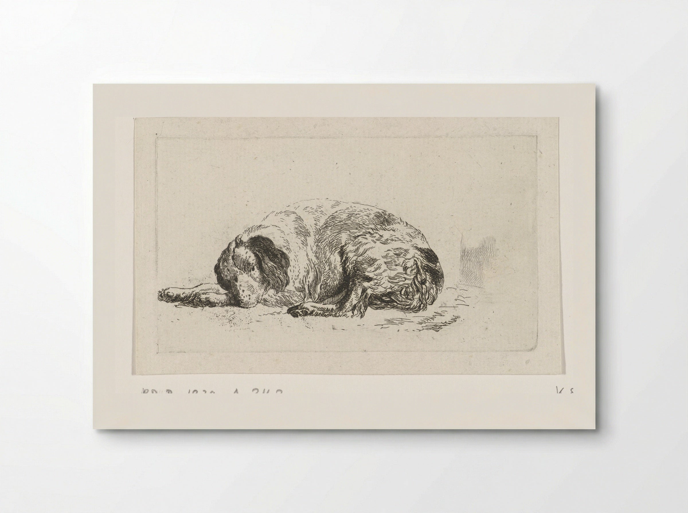 Liggende hond (Lying Dog) - Pieter Gerardus van Os - Poster