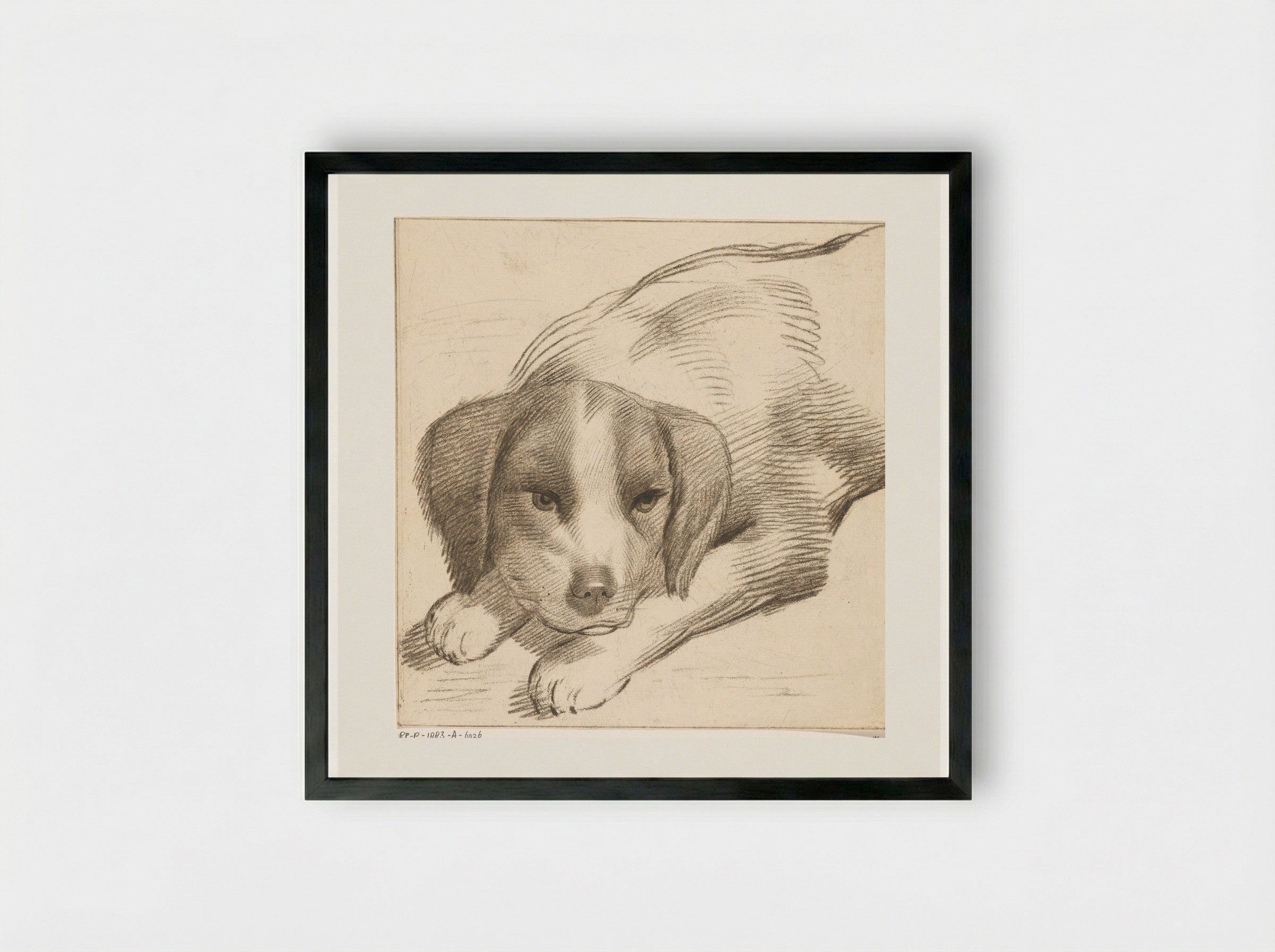 Liggende hond (Reclining Dog) - Cornelis van Noorde - Framed Print Black