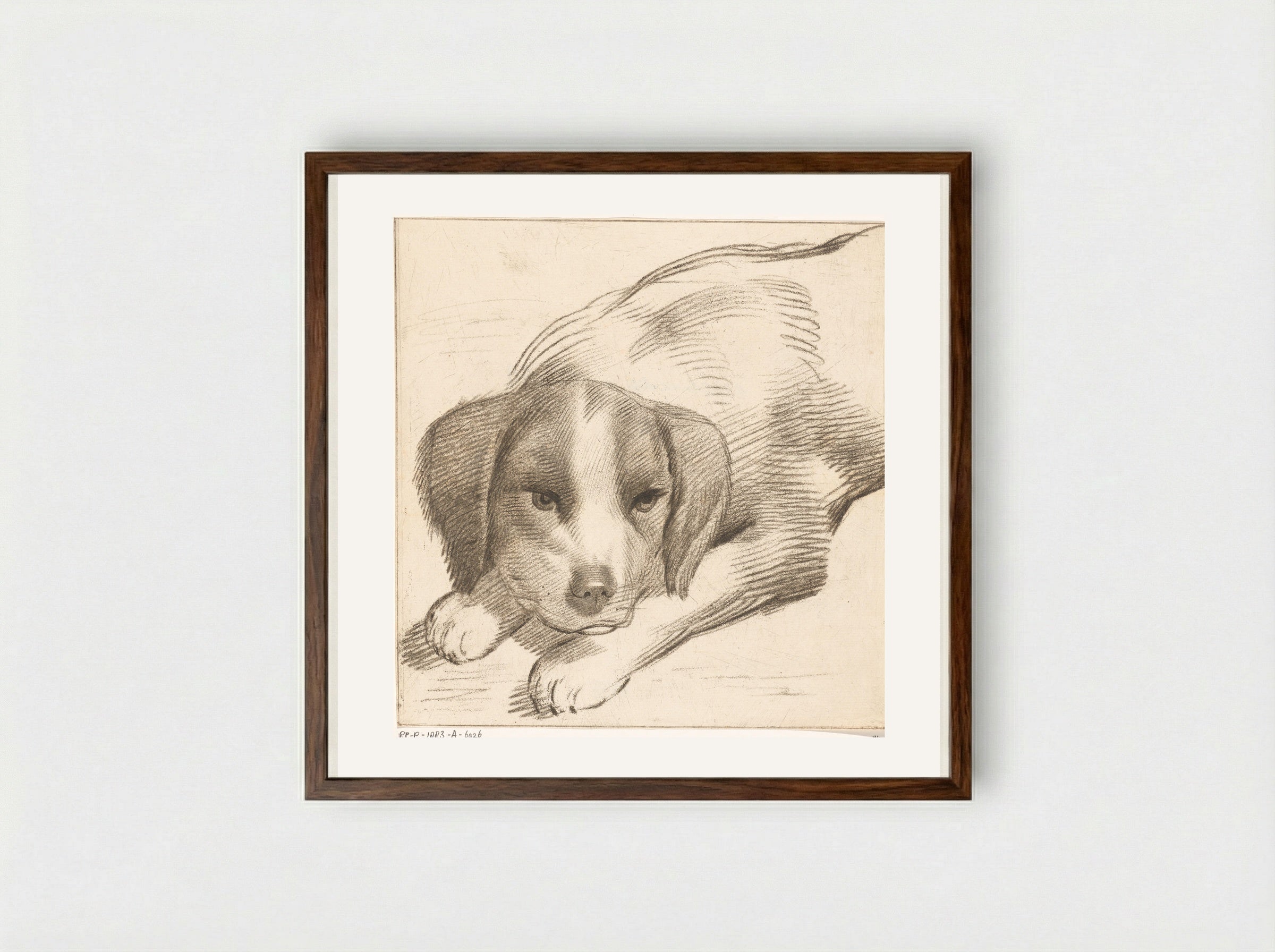 Liggende hond (Reclining Dog) - Cornelis van Noorde - Framed Print Dark Wood