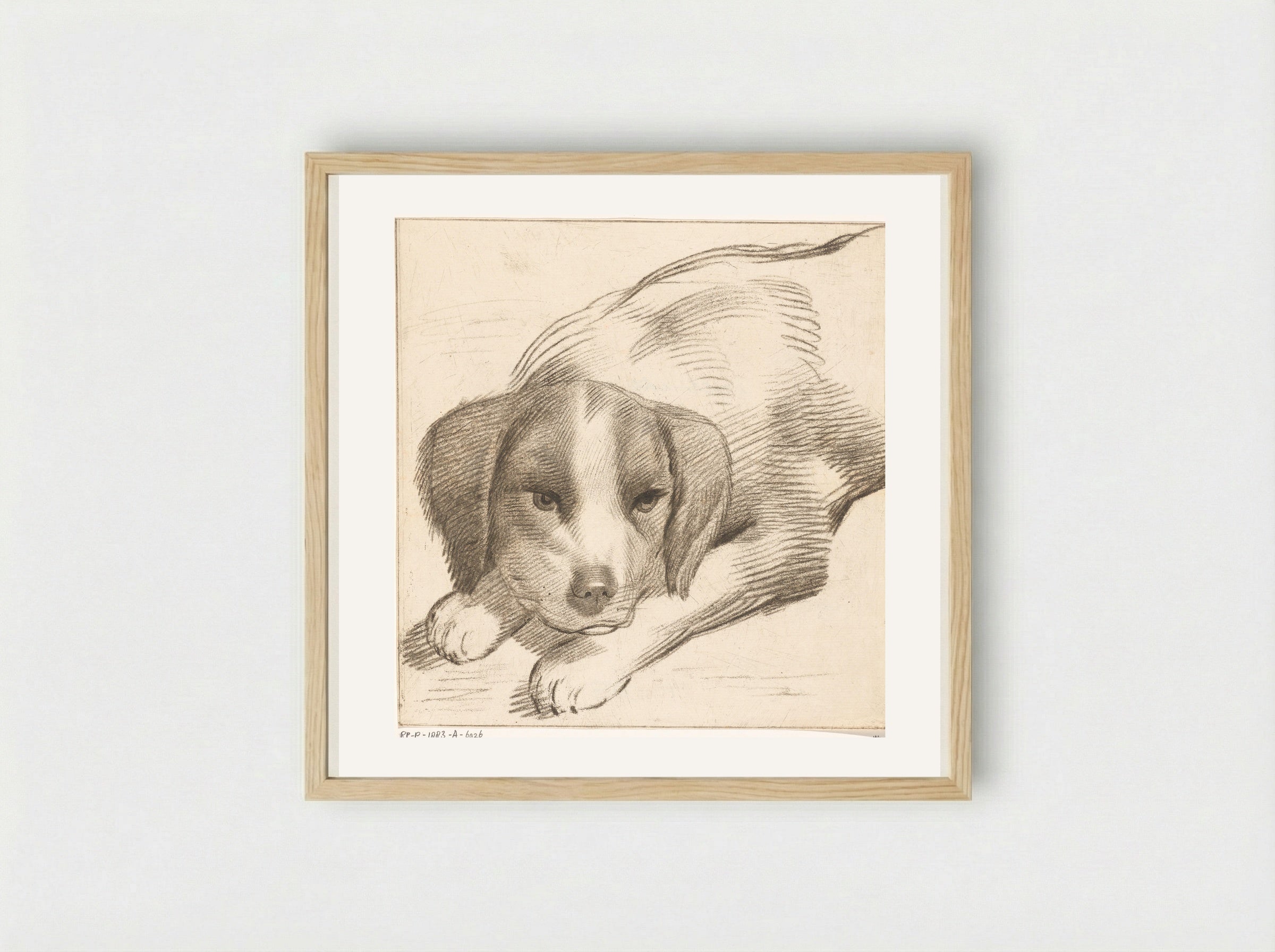 Liggende hond (Reclining Dog) - Cornelis van Noorde - Framed Print Wood