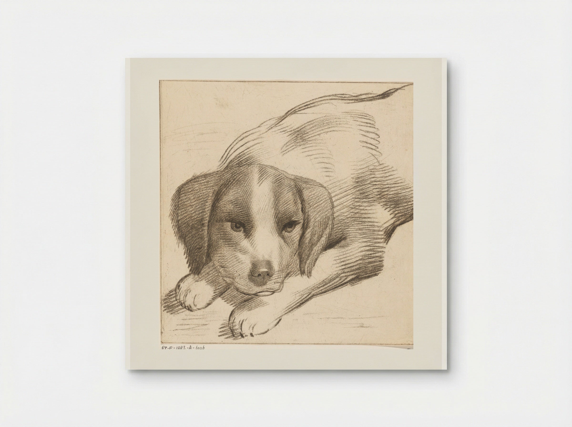 Liggende hond (Reclining Dog) - Cornelis van Noorde - Poster