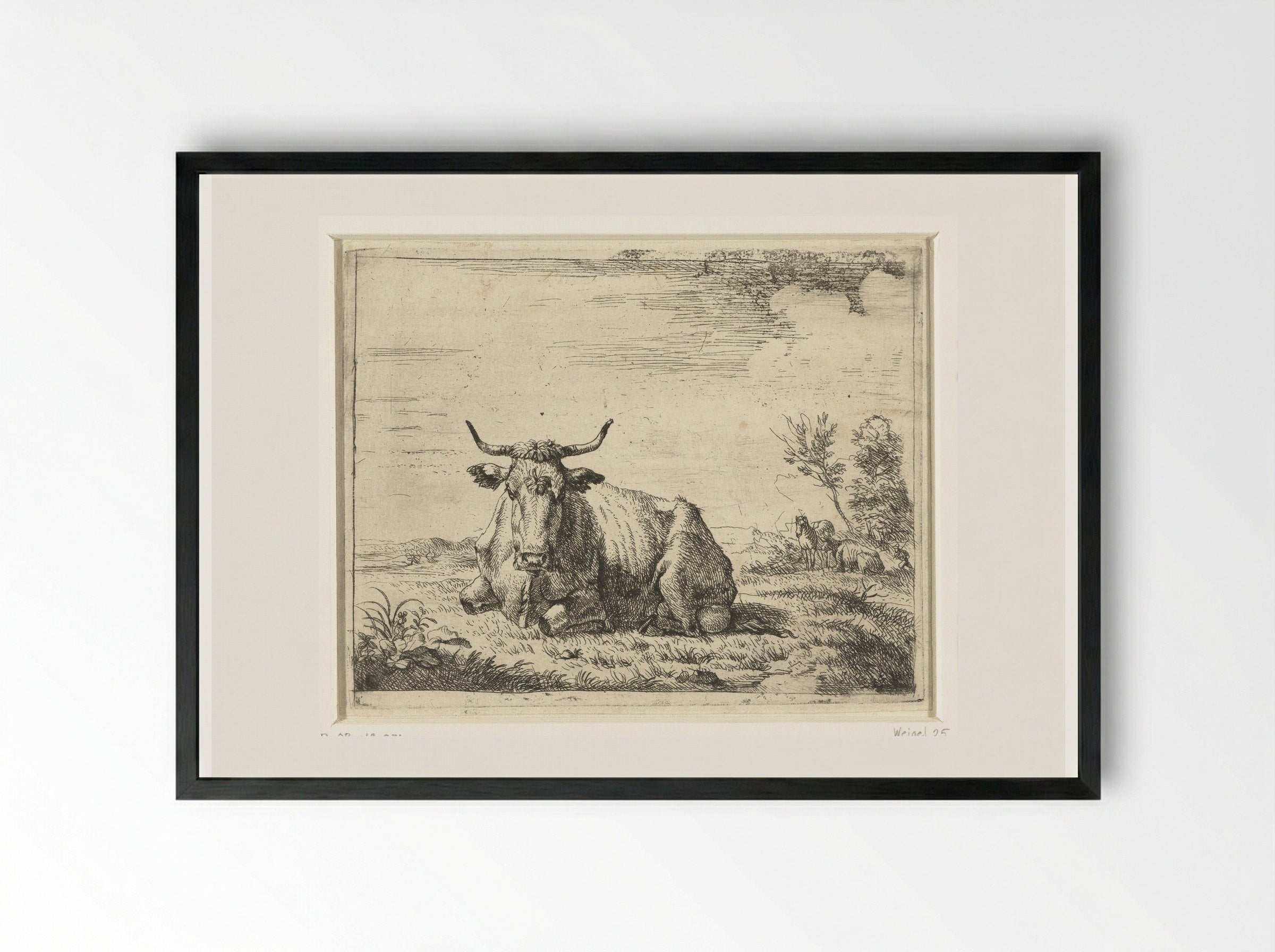 Liggende koe (Recumbent Cow) - Adriaen van de Velde - Framed Print Black
