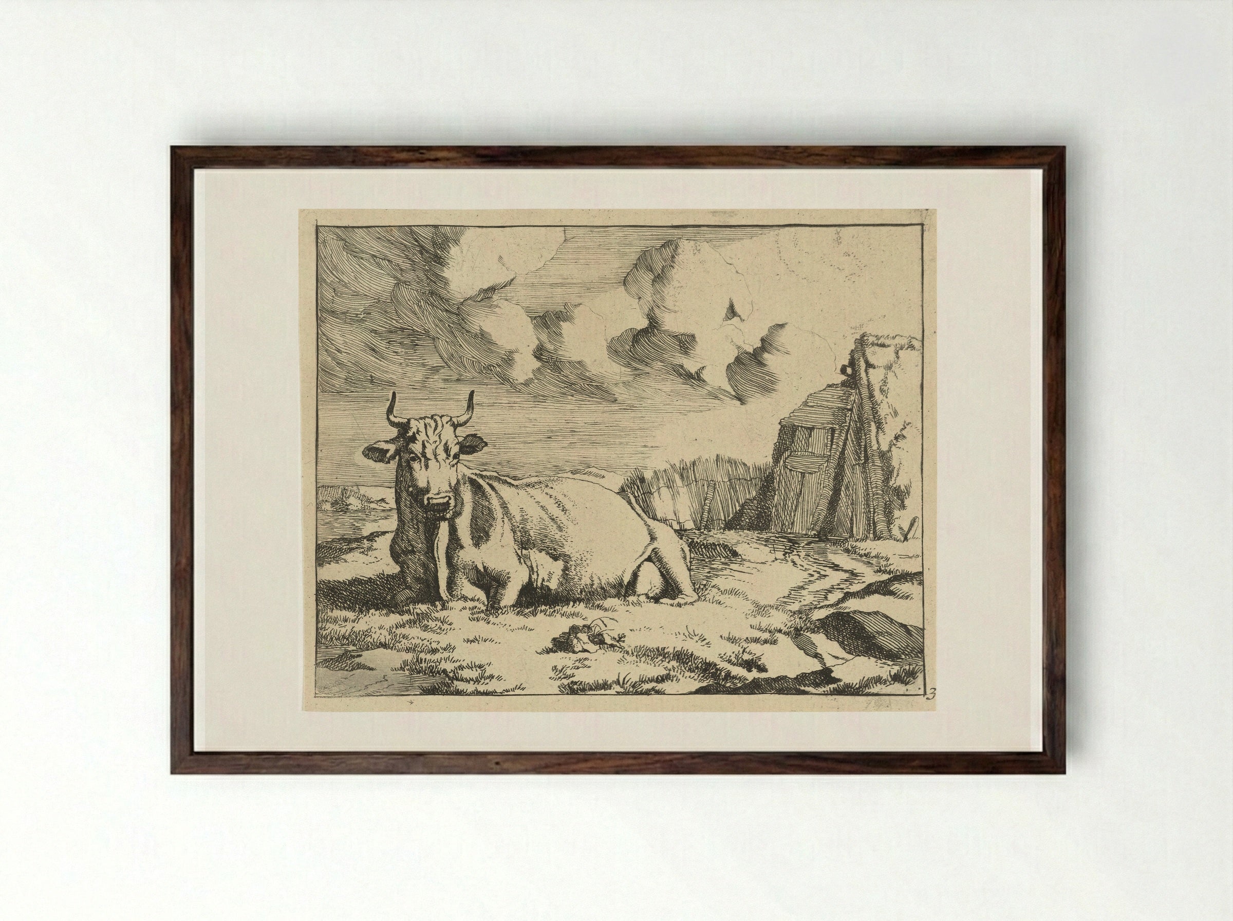 Liggende koe (Recumbent Cow) - Marcus de Bye - Framed Print Dark Wood