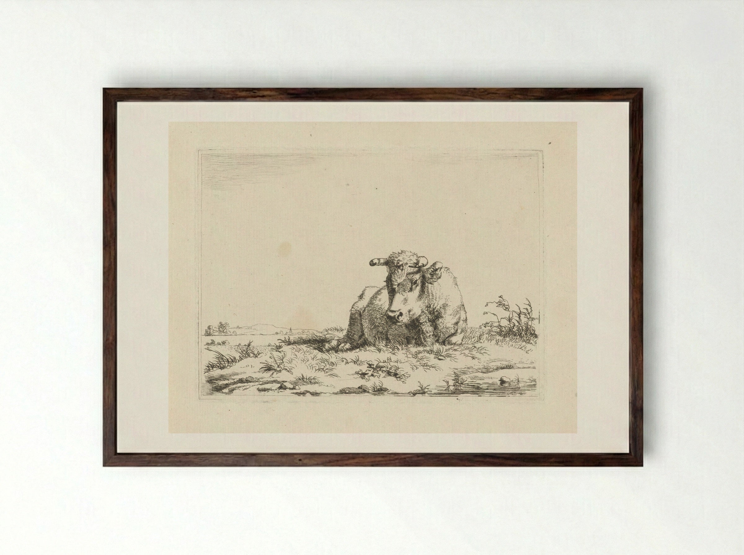 Liggende koe (Recumbent Cow) - Pieter Gerardus van Os - Framed Print Dark Wood