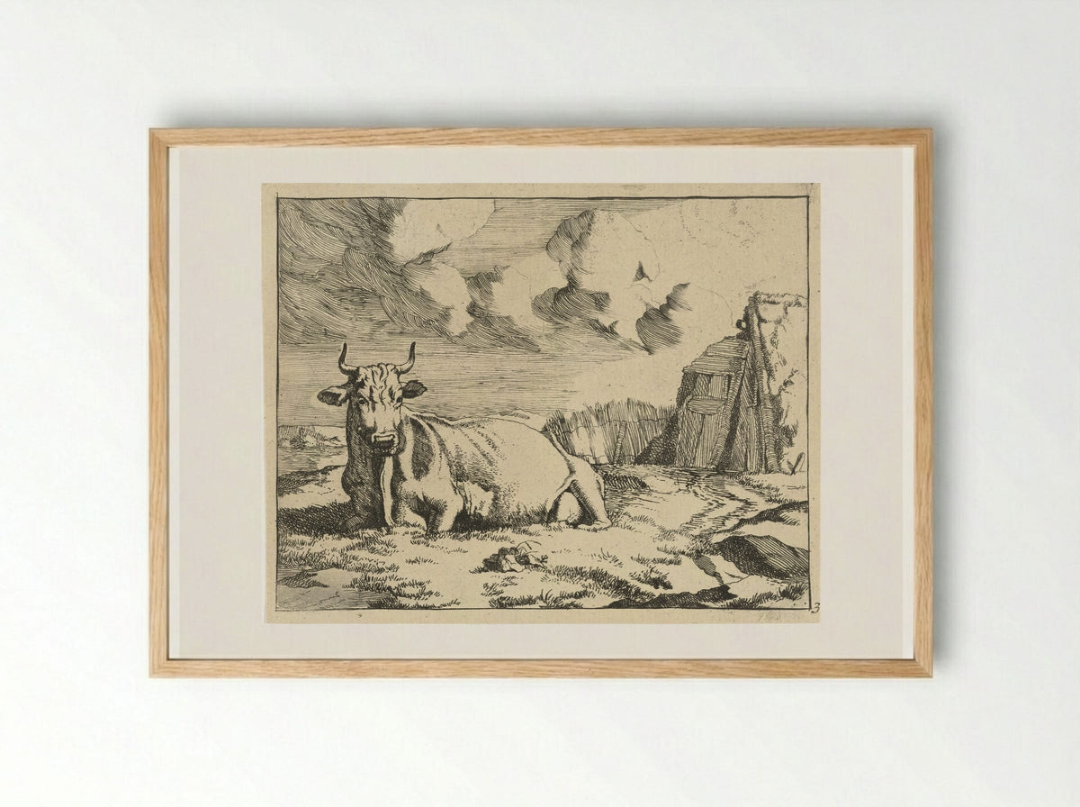 Liggende koe (Recumbent Cow) - Marcus de Bye - Framed Print Wood
