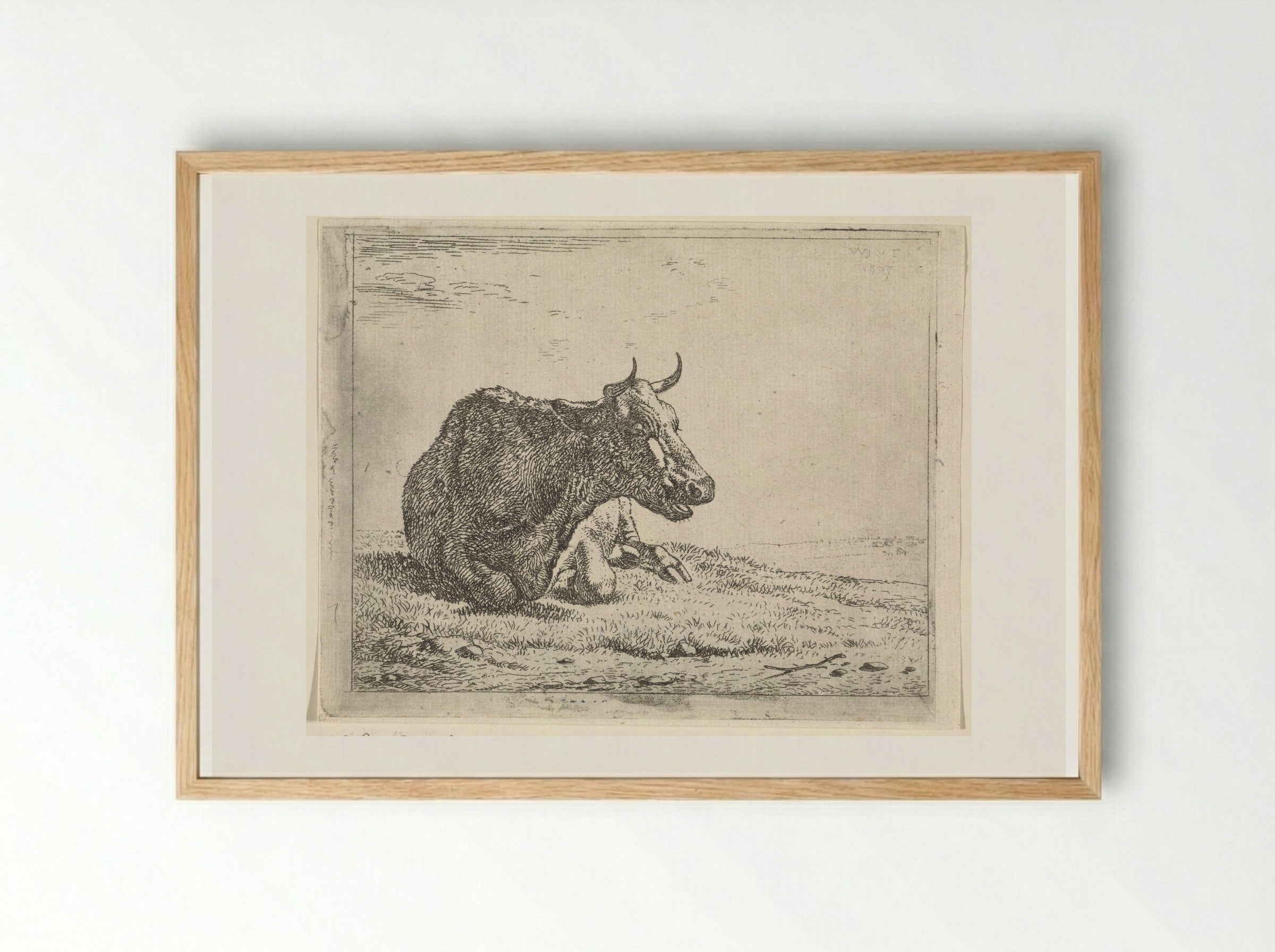 Liggende koe (Recumbent Cow) - Wouter Johannes van Troostwijk - Framed Print Wood