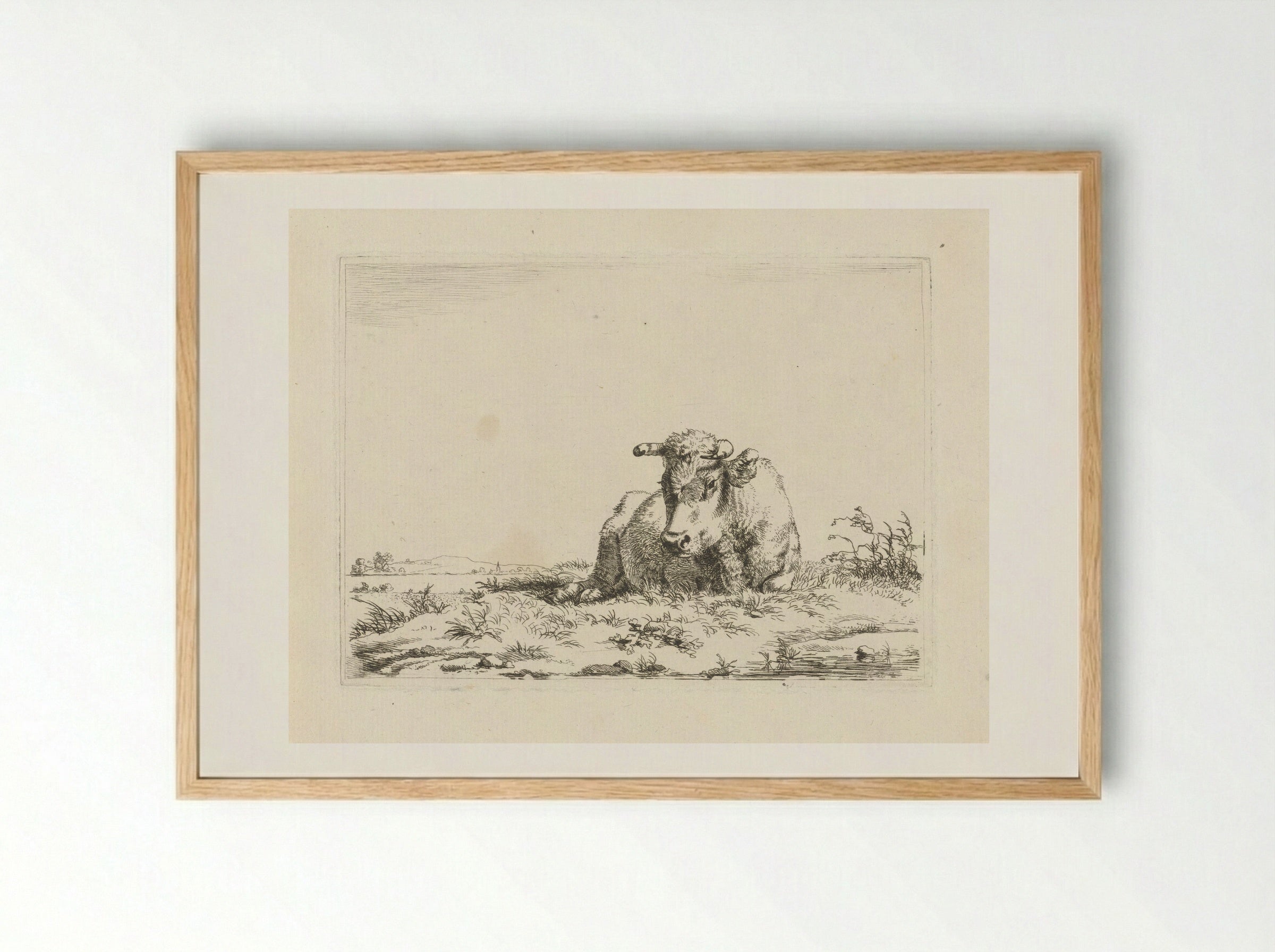 Liggende koe (Recumbent Cow) - Pieter Gerardus van Os - Framed Print Wood