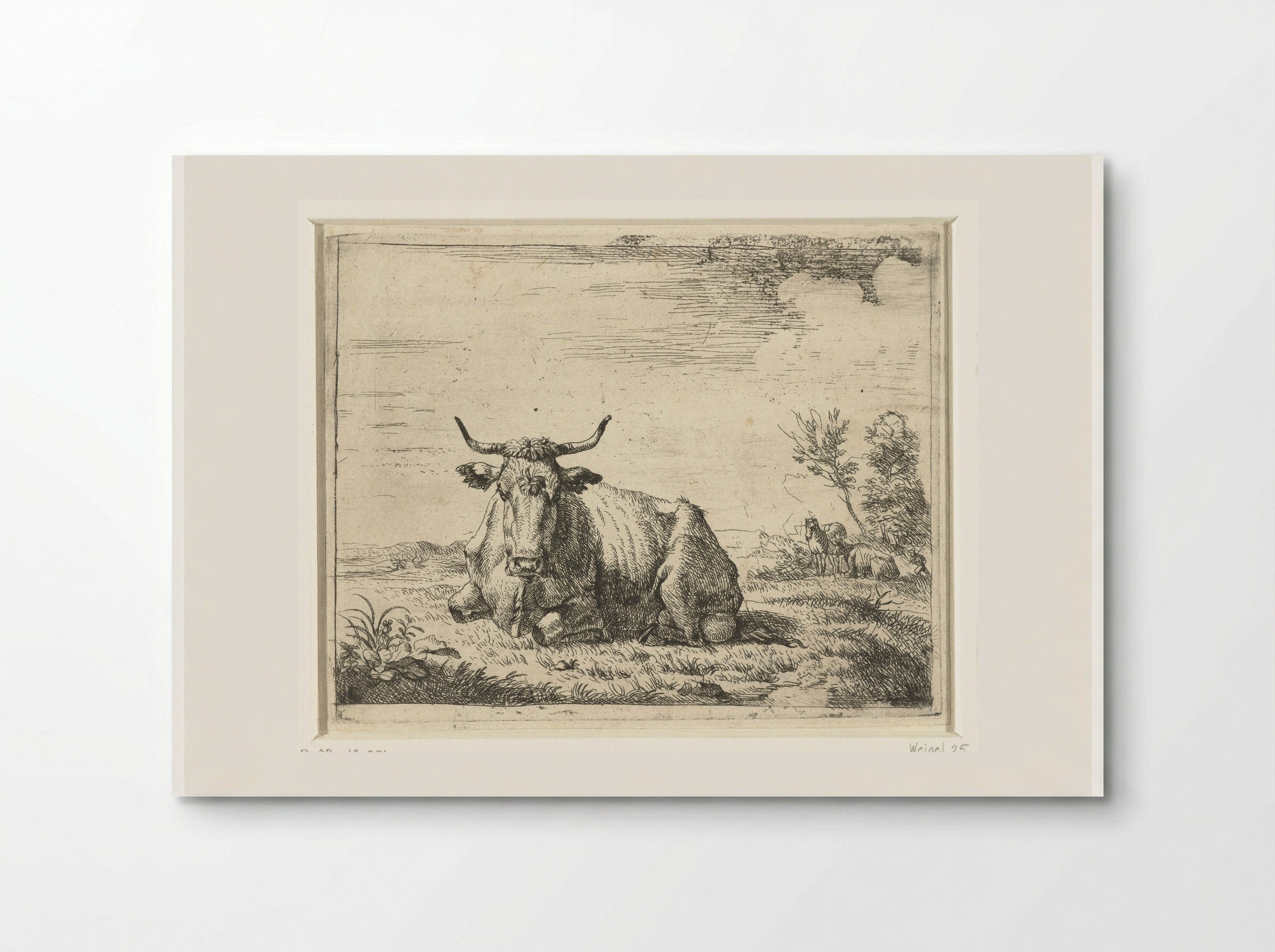 Liggende koe (Recumbent Cow) - Adriaen van de Velde - Poster