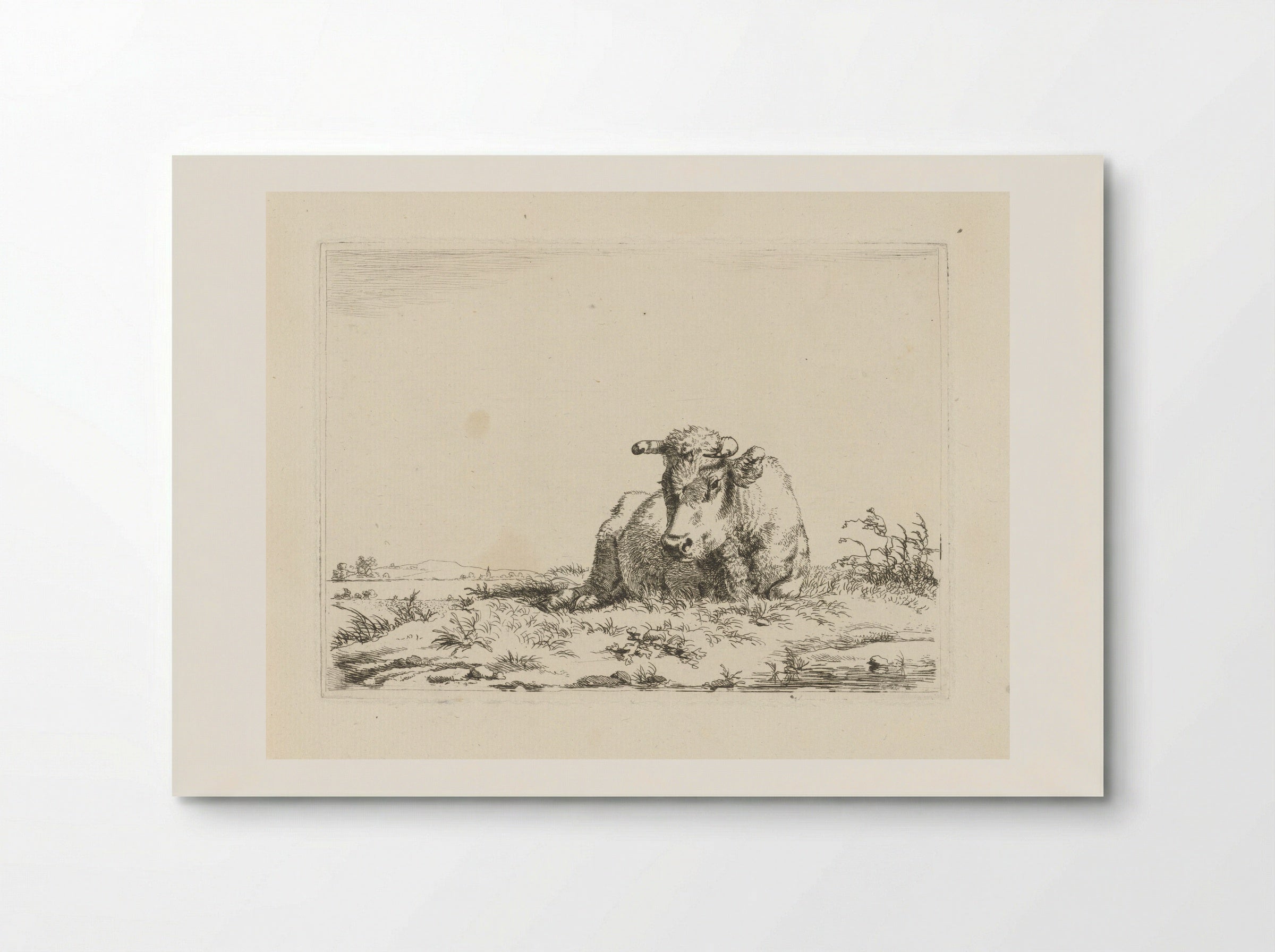 Liggende koe (Recumbent Cow) - Pieter Gerardus van Os - Poster