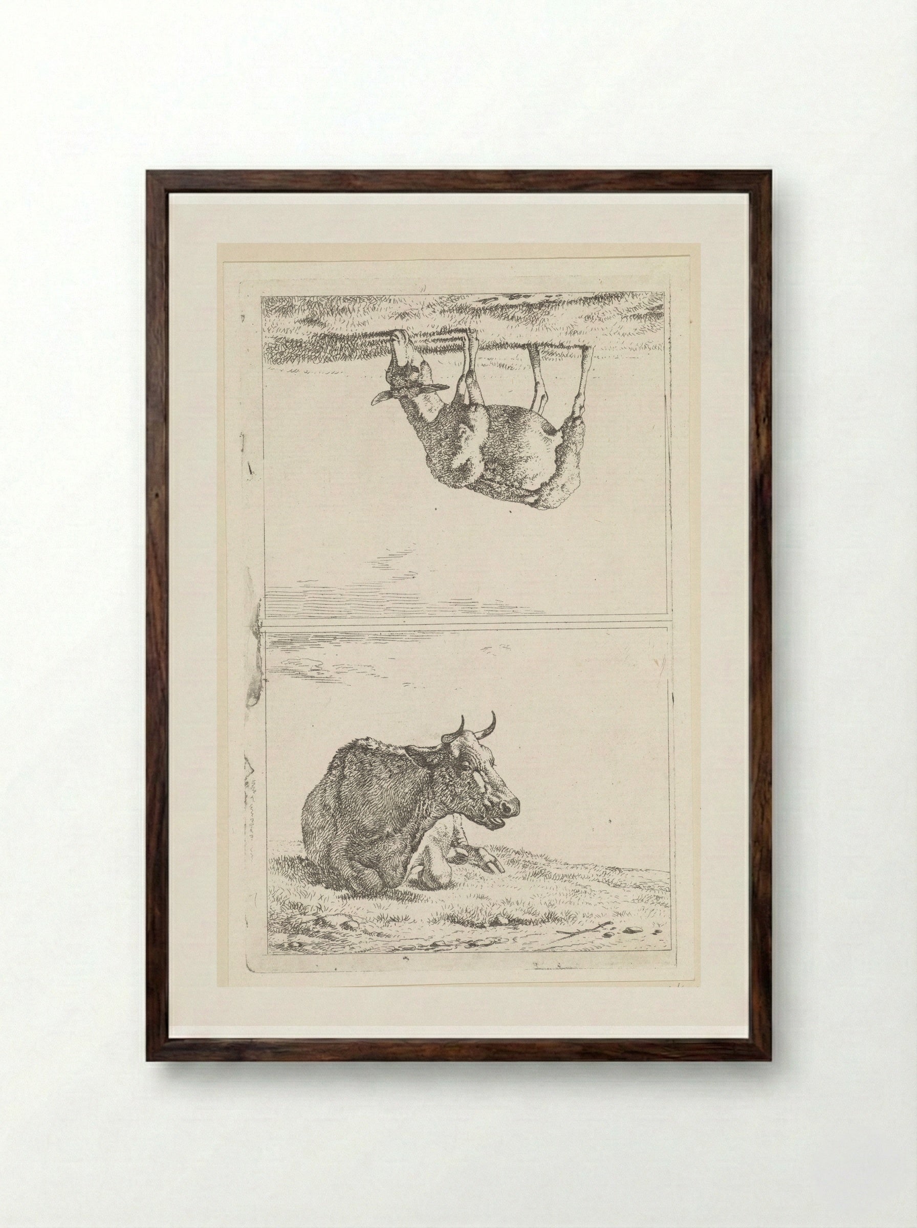 Liggende koe / Grazend schaap naar rechts - Wouter Johannes van Troostwijk - Framed Print Dark Wood