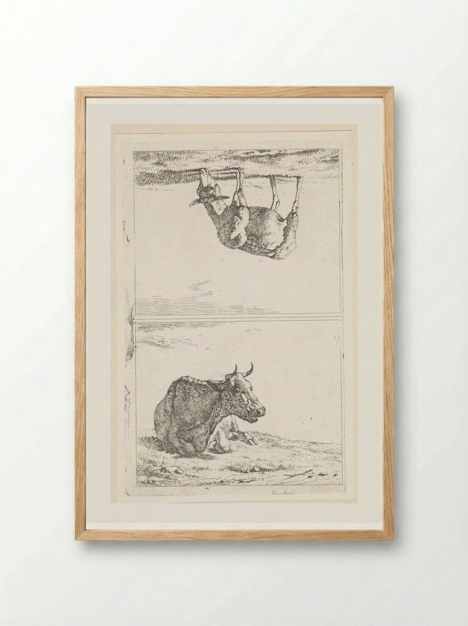 Liggende koe / Grazend schaap naar rechts - Wouter Johannes van Troostwijk - Framed Print Wood
