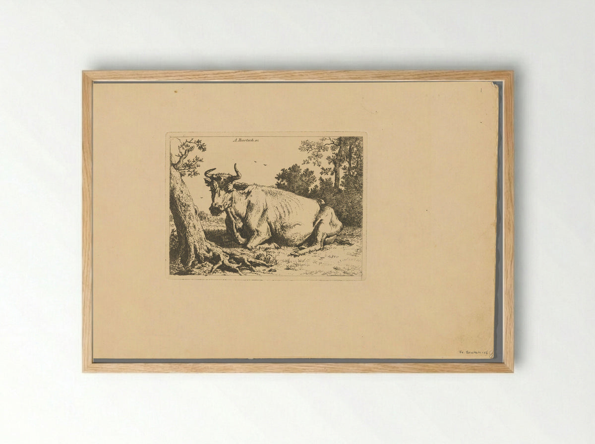Liggende koe bij een boom - Adam von Bartsch - Framed Print Wood