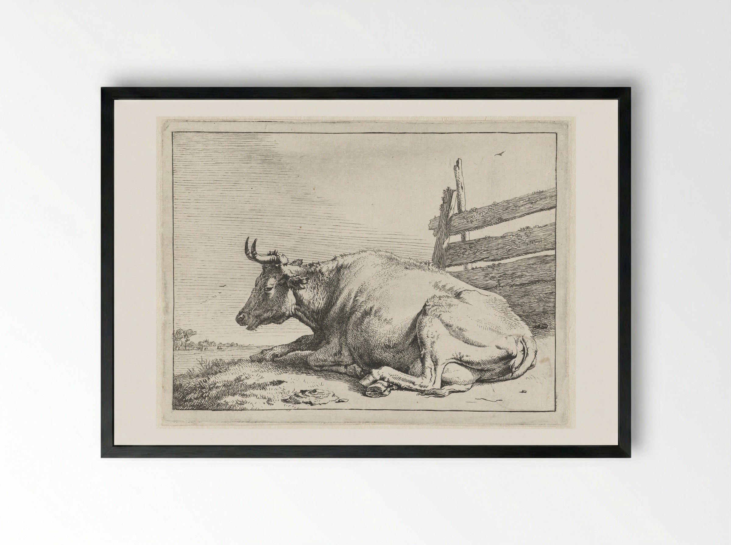 Liggende koe bij een hek - Paulus Potter - Framed Print Black