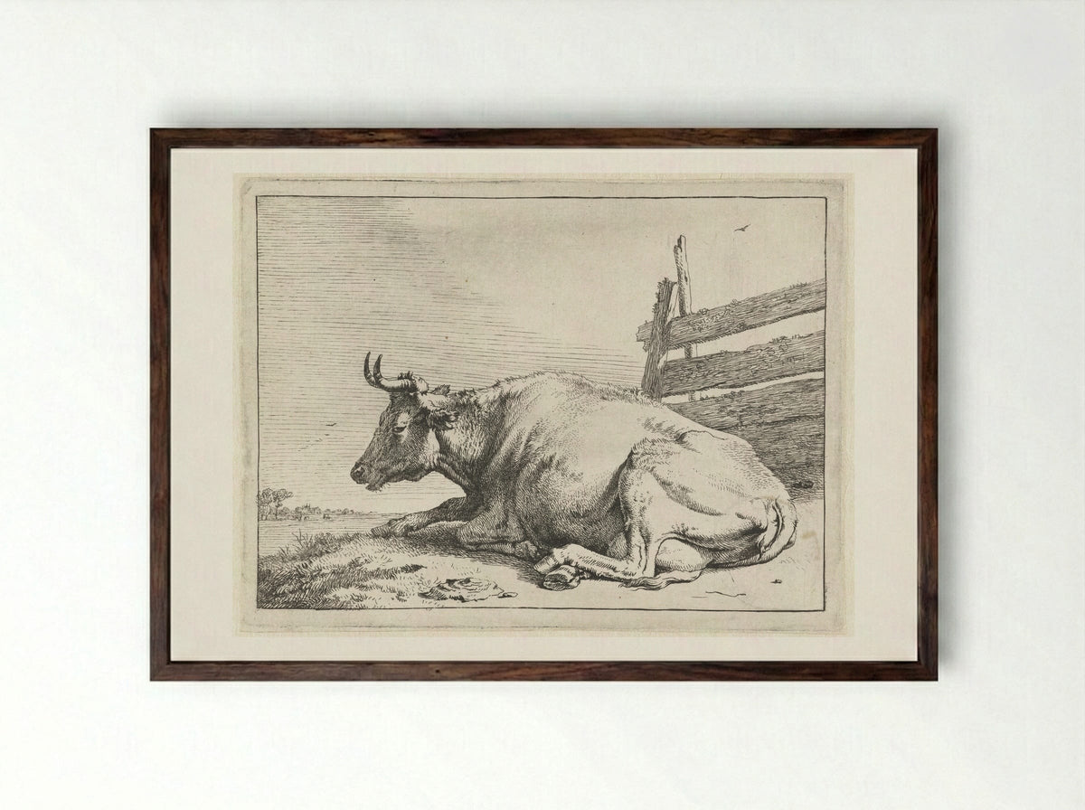 Liggende koe bij een hek - Paulus Potter - Framed Print Dark Wood