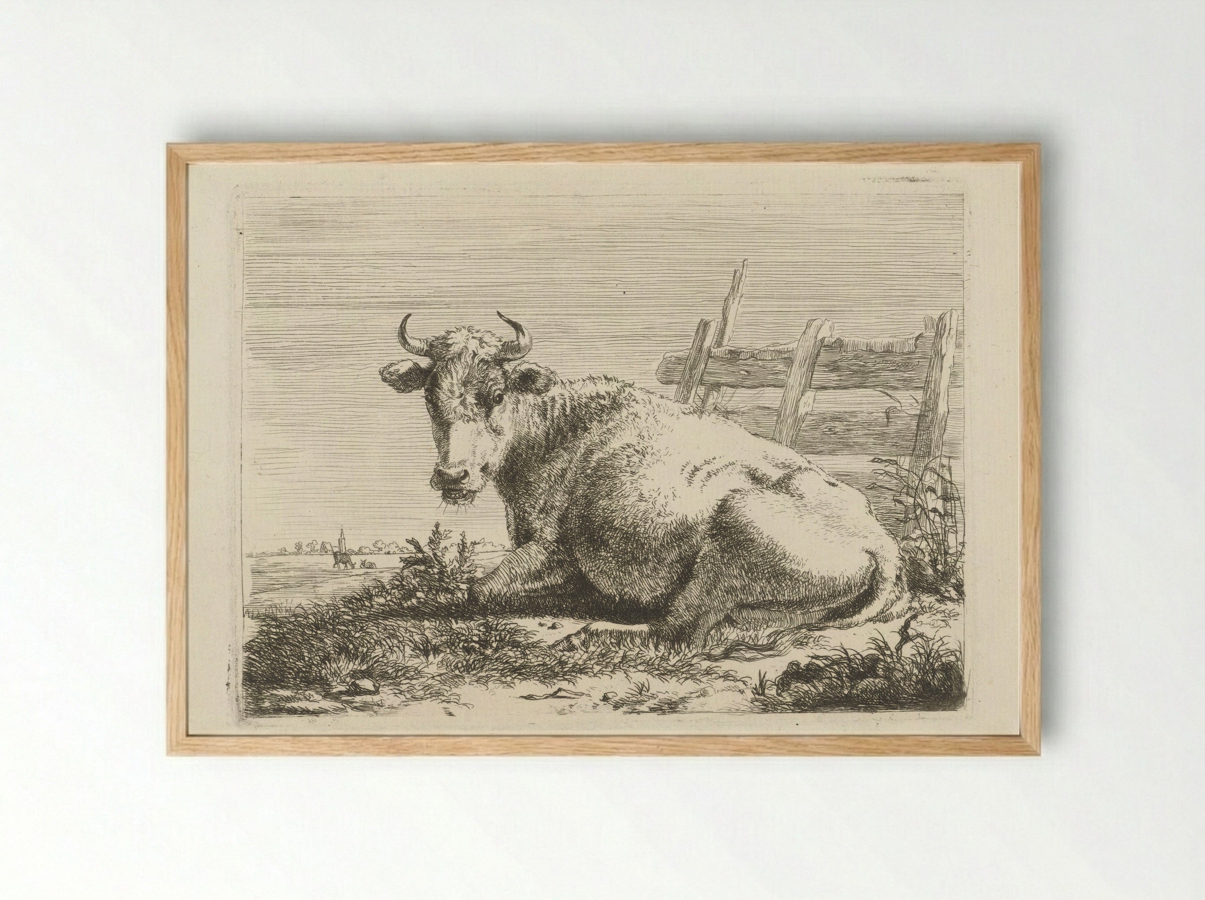 Liggende koe bij een schutting - Pieter Gerardus van Os - Framed Print Wood