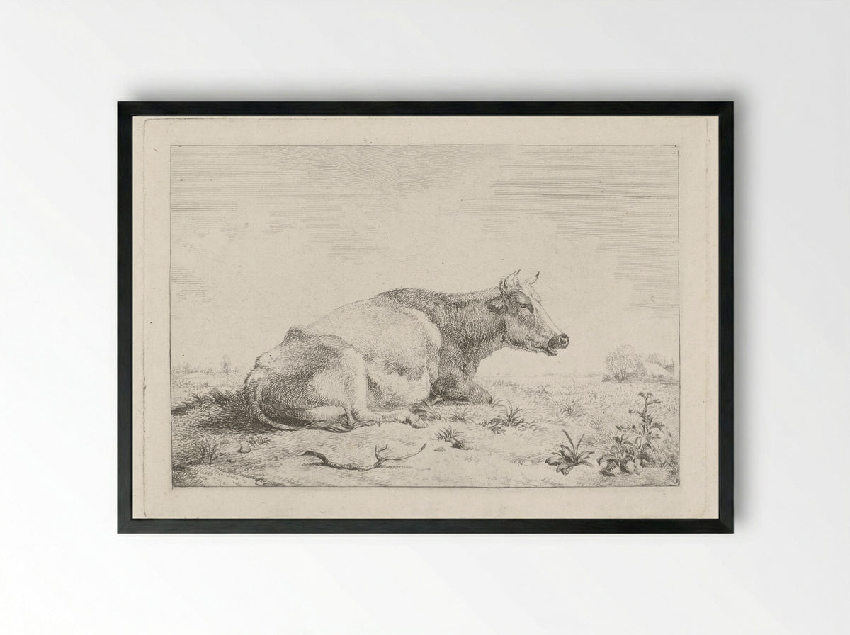 Liggende koe met distel - Pieter Gerardus van Os - Framed Print Black
