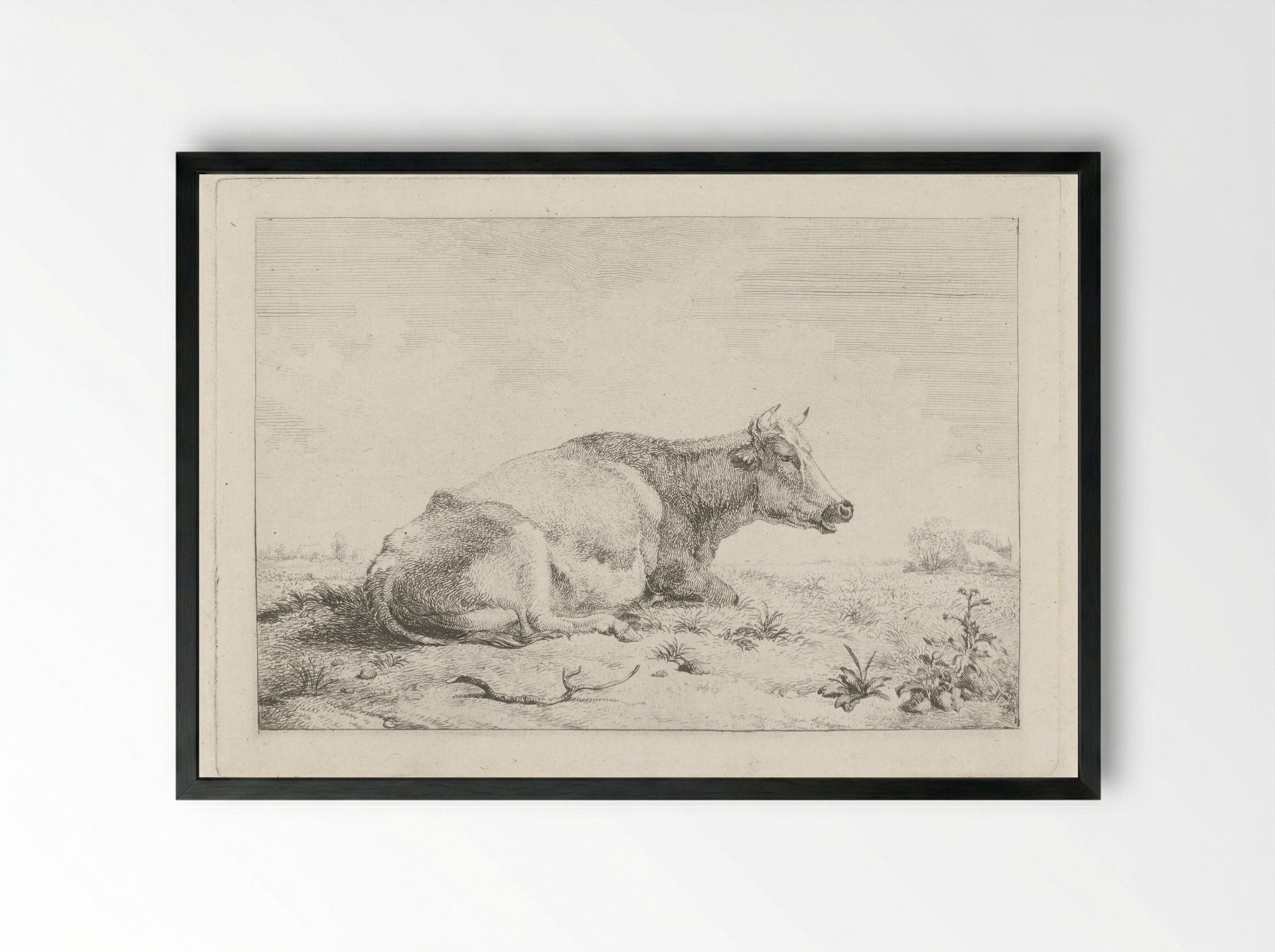Liggende koe met distel - Pieter Gerardus van Os - Framed Print Black