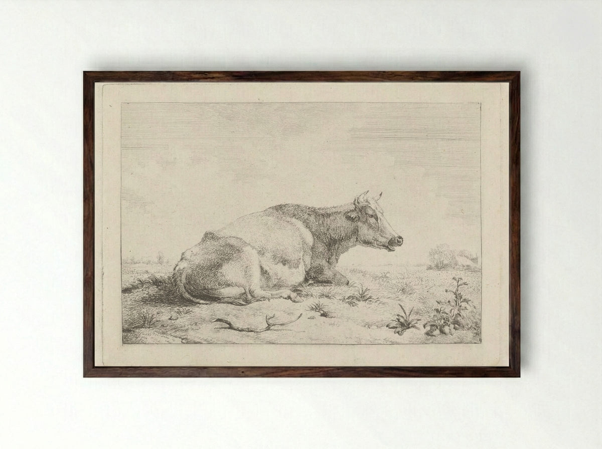 Liggende koe met distel - Pieter Gerardus van Os - Framed Print Dark Wood