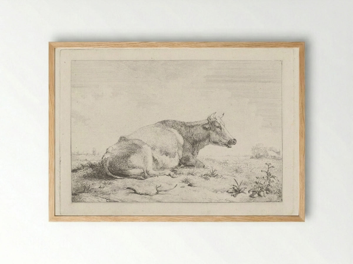 Liggende koe met distel - Pieter Gerardus van Os - Framed Print Wood