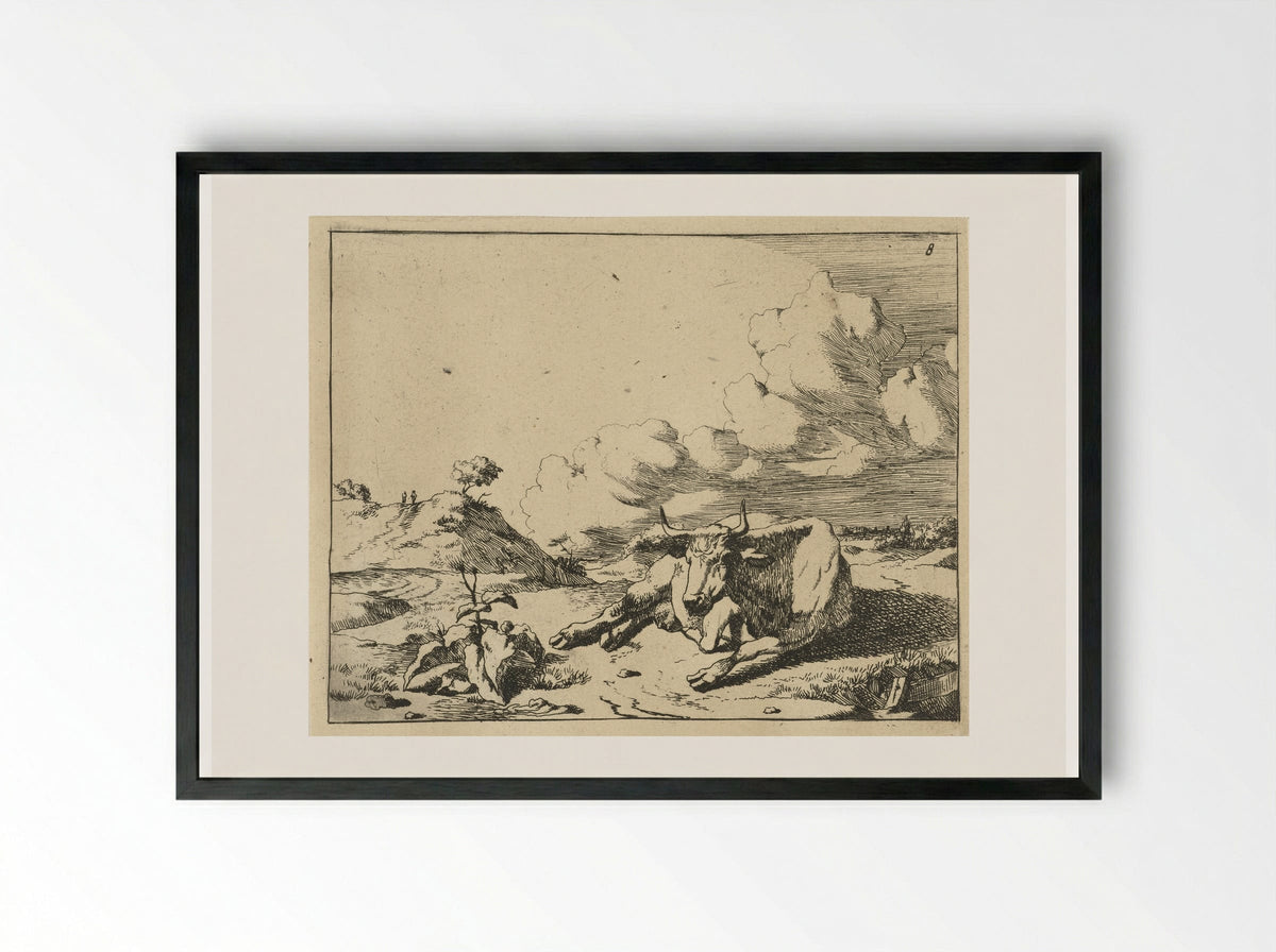 Liggende koe van voren gezien - Marcus de Bye - Framed Print Black