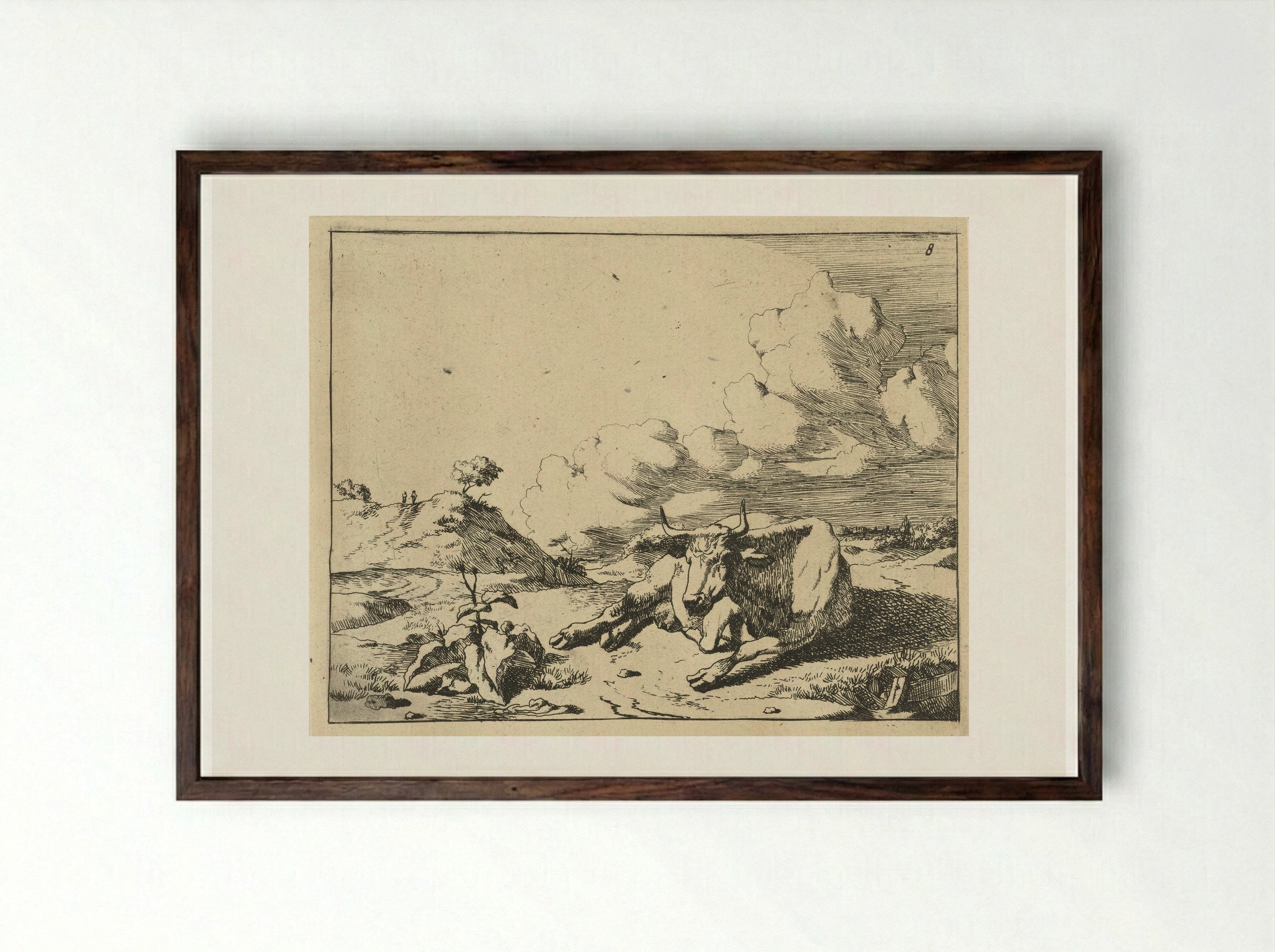 Liggende koe van voren gezien - Marcus de Bye - Framed Print Dark Wood