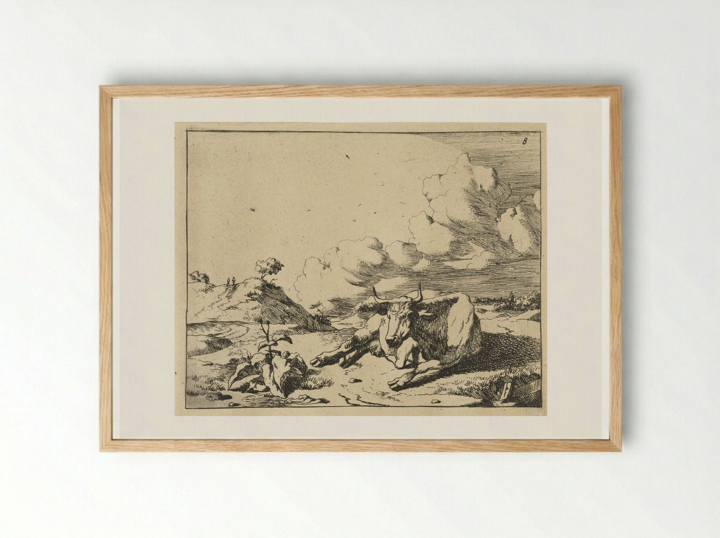 Liggende koe van voren gezien - Marcus de Bye - Framed Print Wood