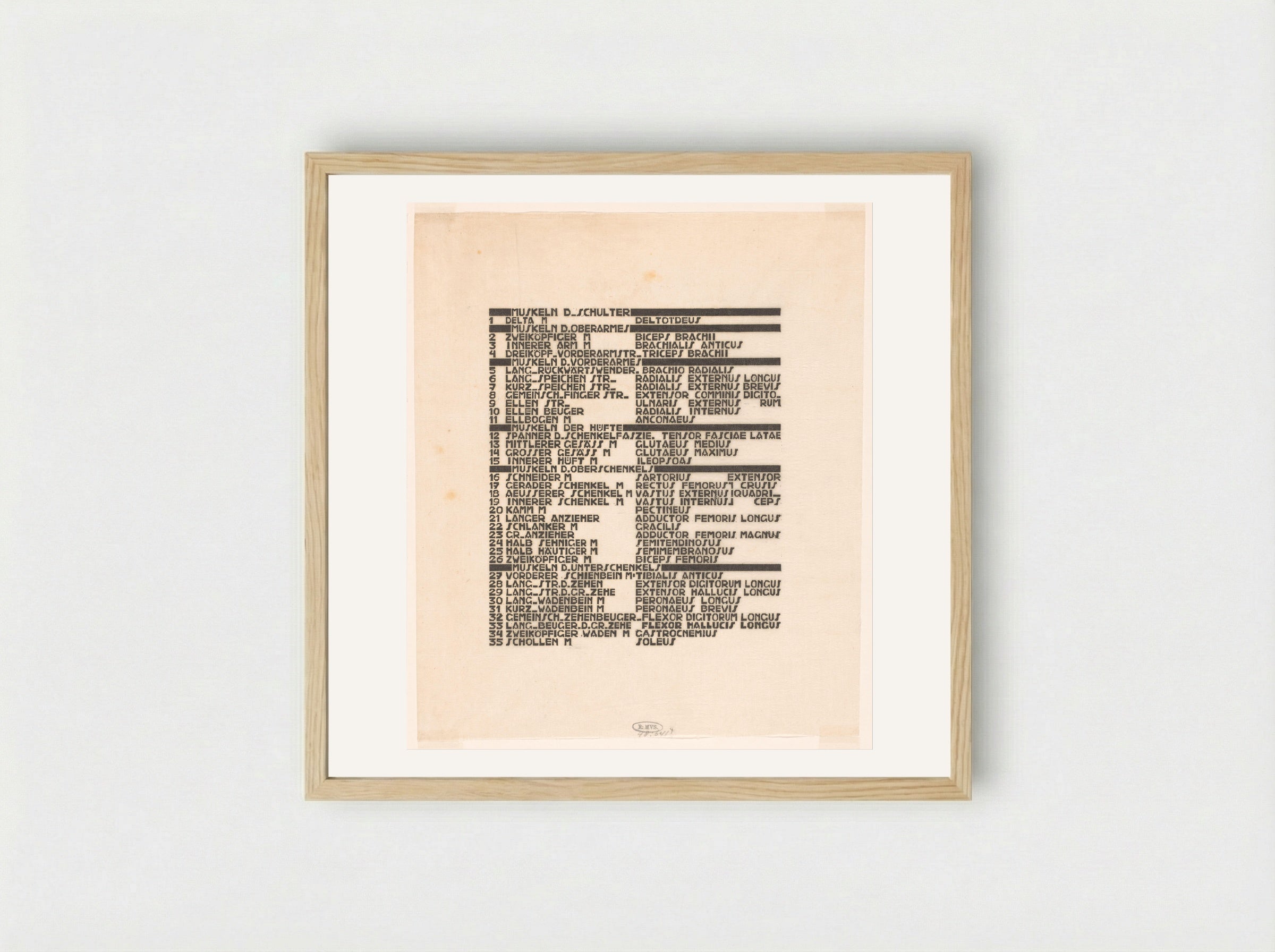 Lijst van been- en armspieren in Duits en Latijn - Reijer Stolk - Framed Print Wood