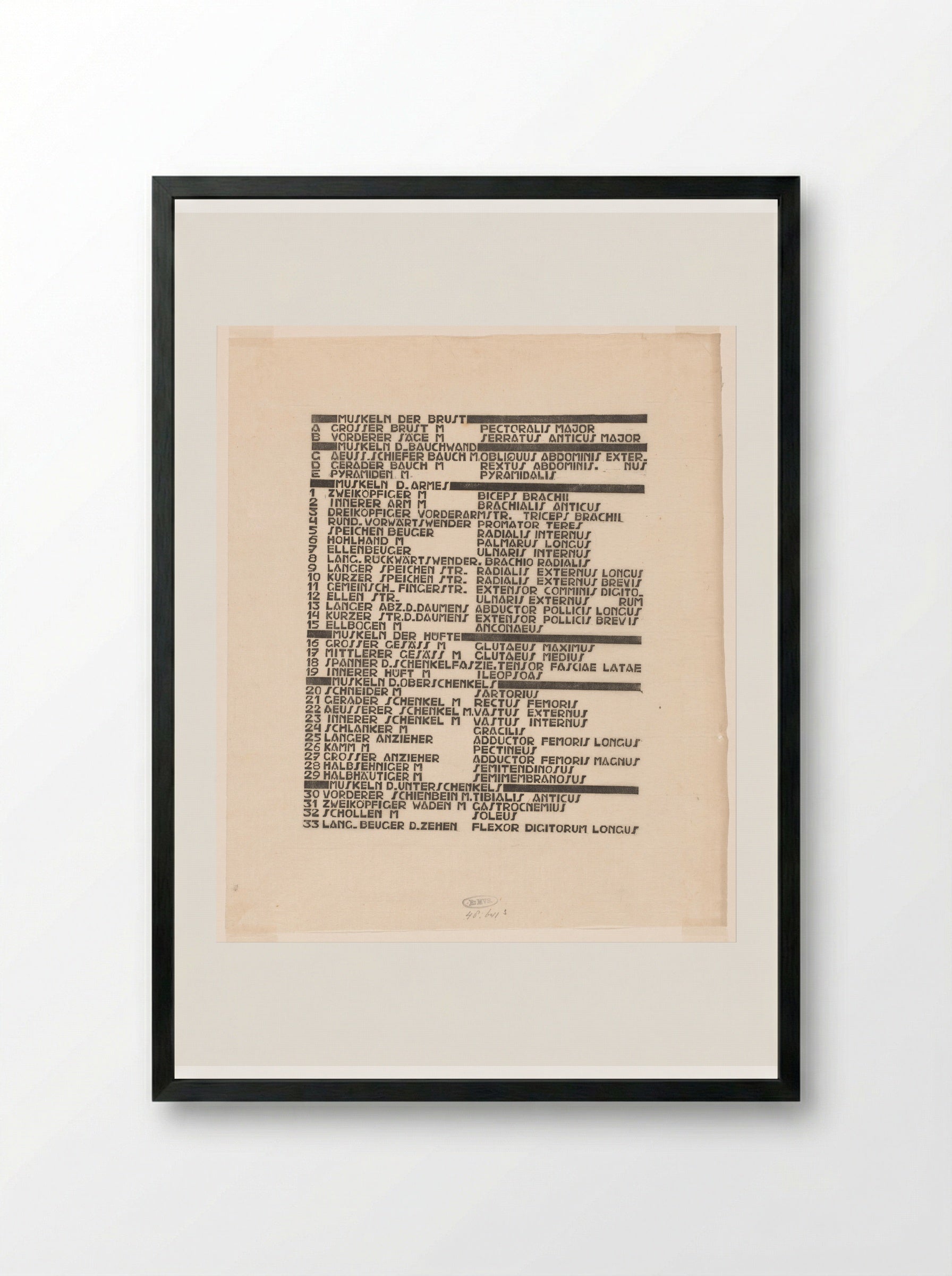 Lijst van borst-, arm- en beenspieren in Duits en Latijn - Reijer Stolk - Framed Print Black