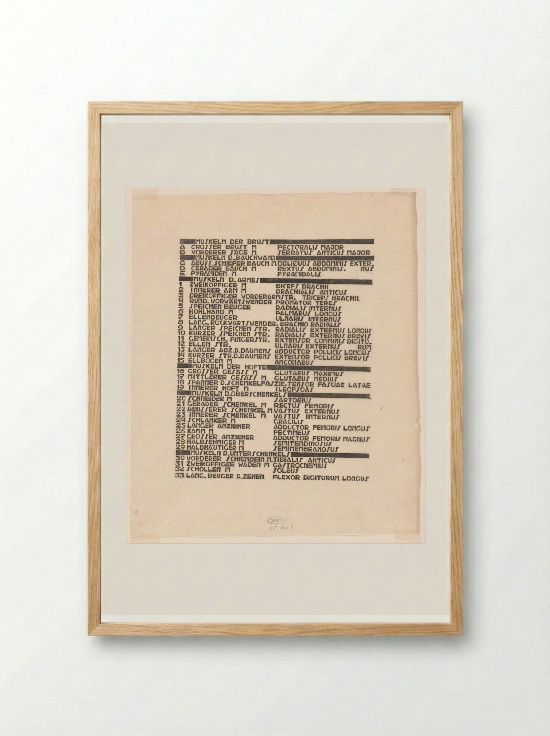 Lijst van borst-, arm- en beenspieren in Duits en Latijn - Reijer Stolk - Framed Print Wood