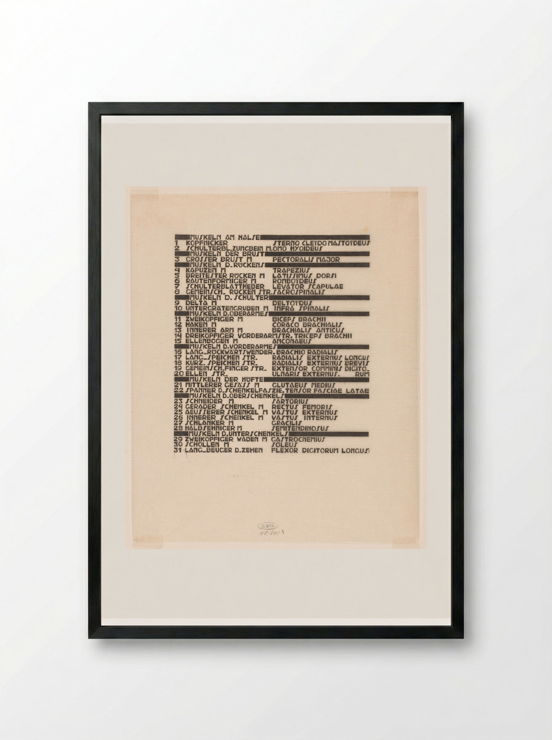 Lijst van hals-, arm- en zijspieren in Duits en Latijn - Reijer Stolk - Framed Print Black