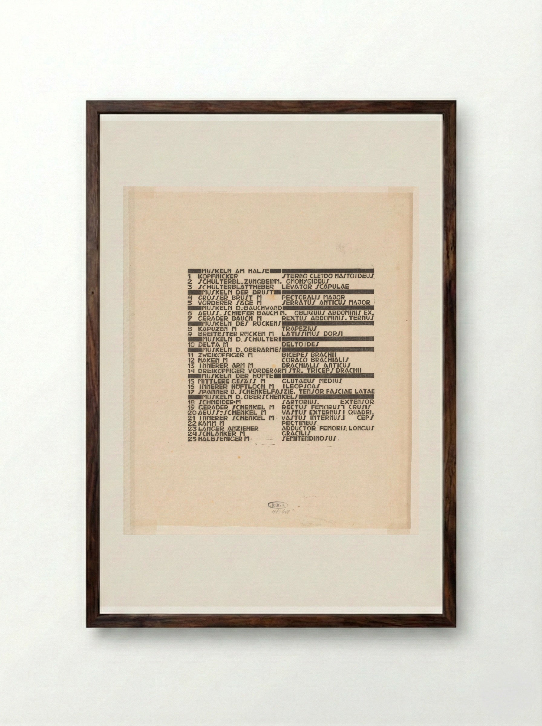 Lijst van hals-, buik- en bovenbeenspieren in Duits en Latijn - Reijer Stolk - Framed Print Dark Wood