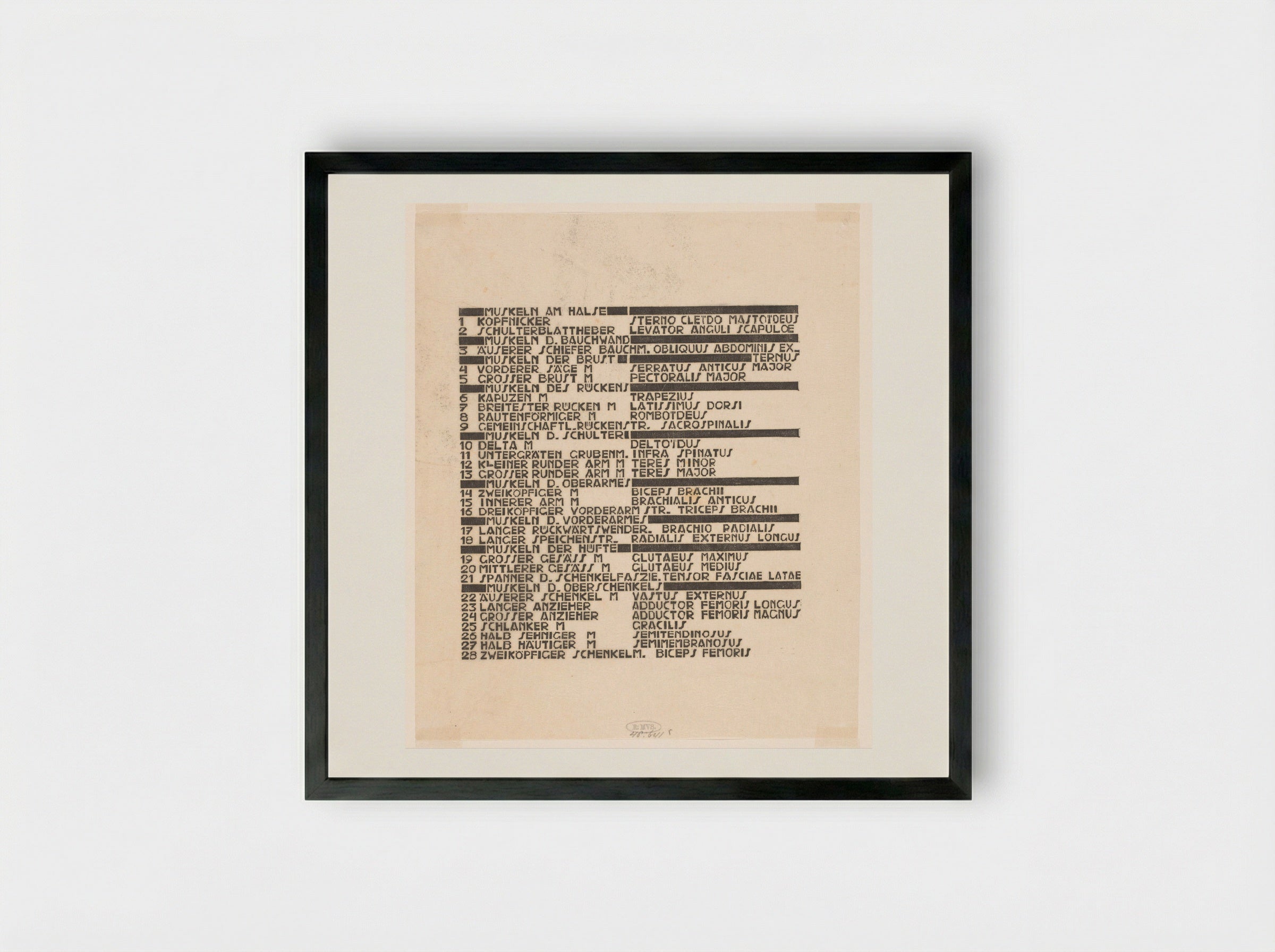 Lijst van hals-, rug- en bilspieren in Duits en Latijn - Reijer Stolk - Framed Print Black