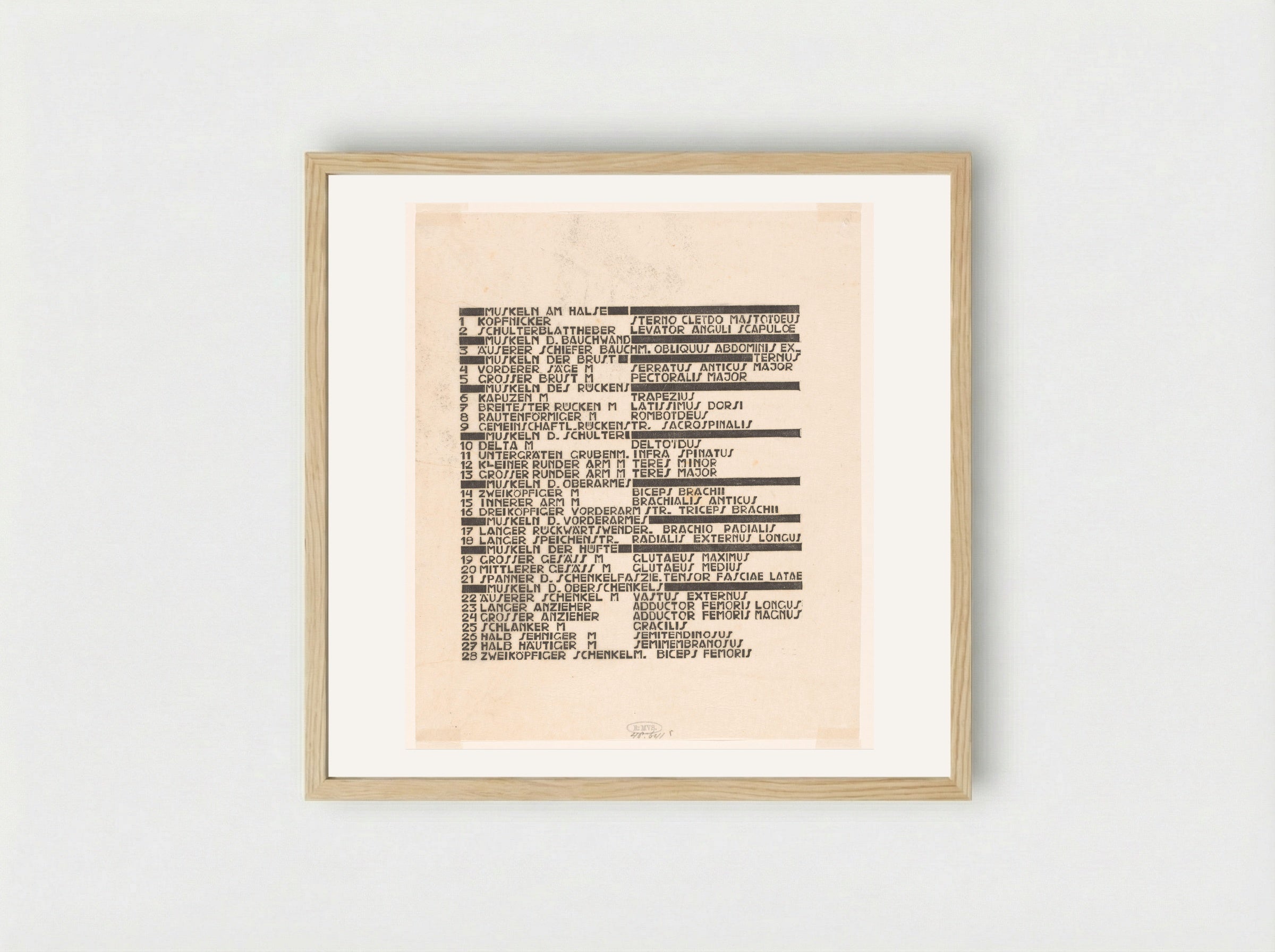 Lijst van hals-, rug- en bilspieren in Duits en Latijn - Reijer Stolk - Framed Print Wood