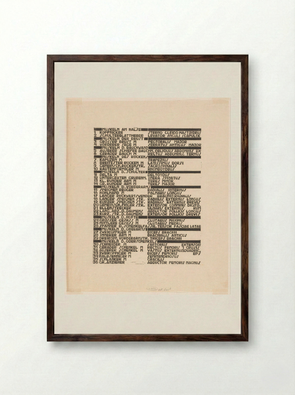 Lijst van rug-, arm- en bilspieren in Duits en Latijn - Reijer Stolk - Framed Print Dark Wood