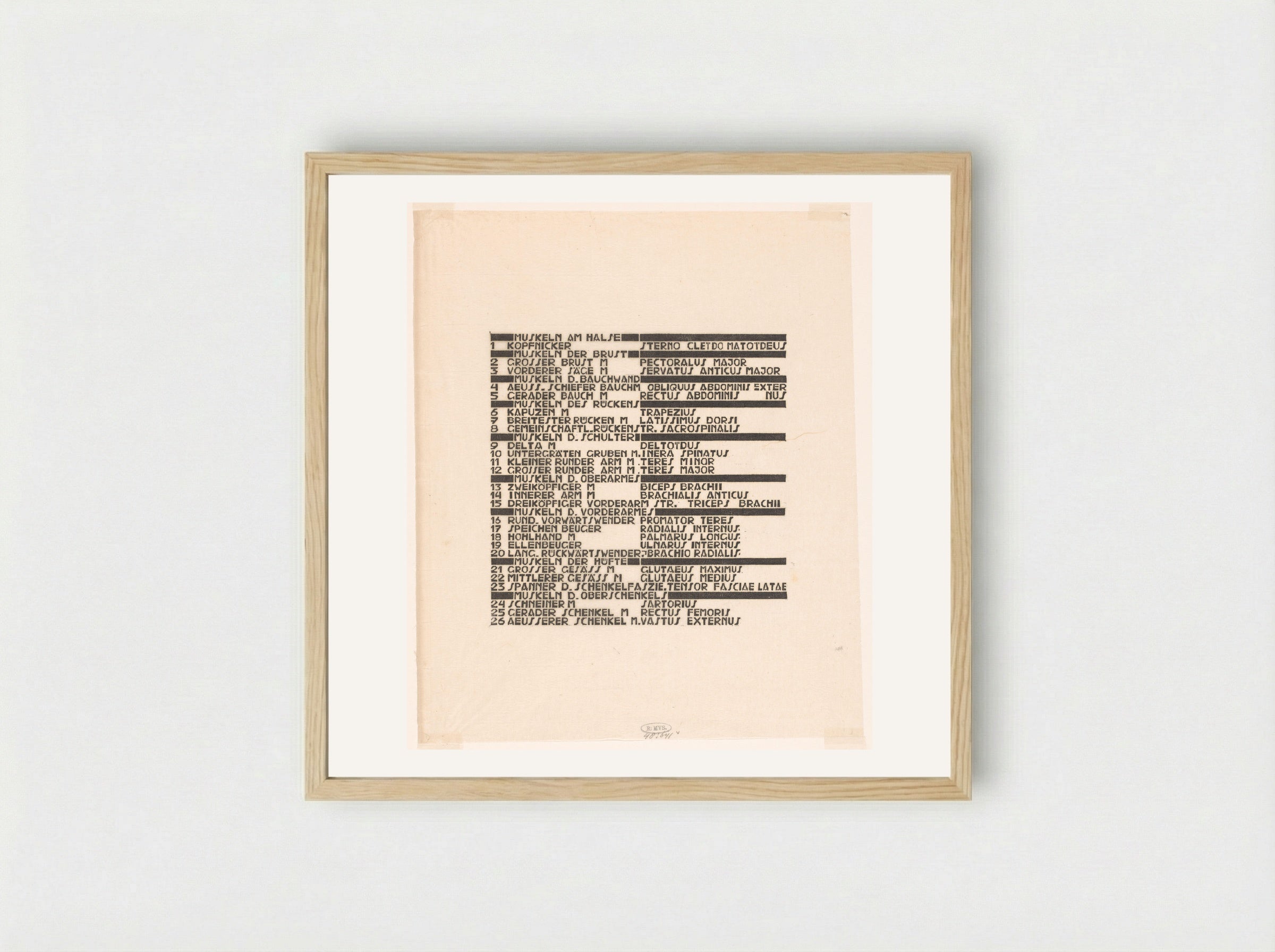 Lijst van rug- en armspieren in Duits en Latijn - Reijer Stolk - Framed Print Wood