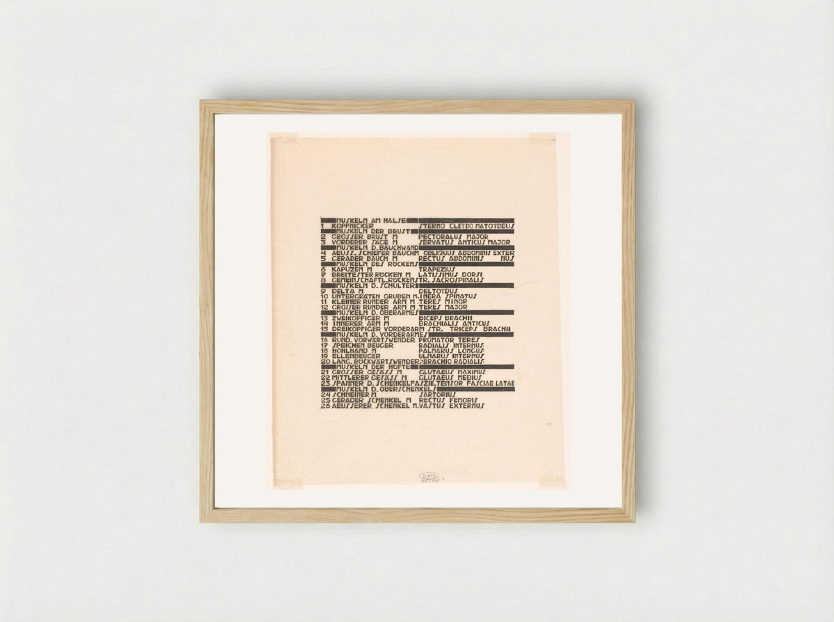 Lijst van rug- en armspieren in Duits en Latijn - Reijer Stolk - Framed Print Wood