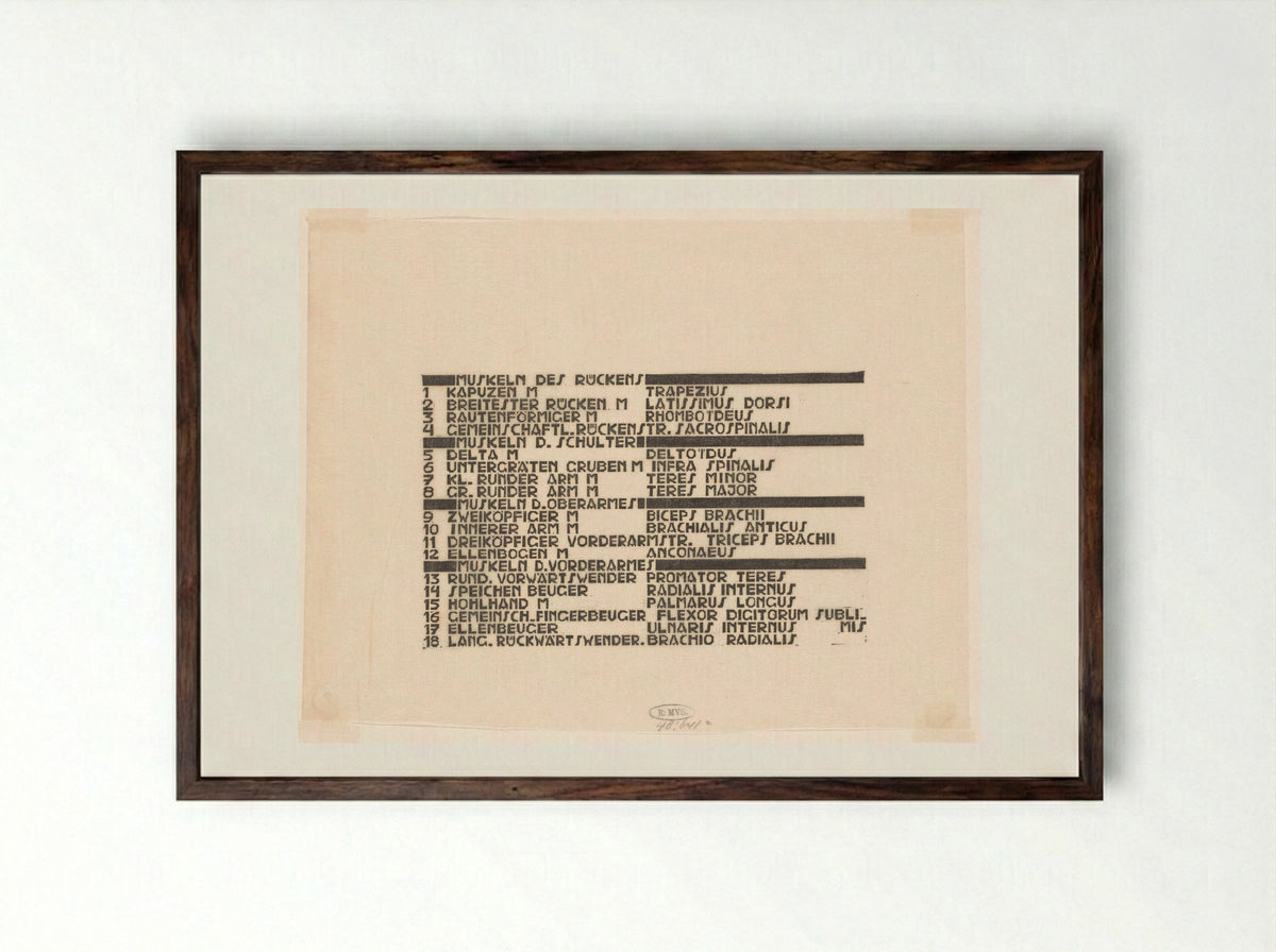 Lijst van rugspieren in Duits en Latijn - Reijer Stolk - Framed Print Dark Wood