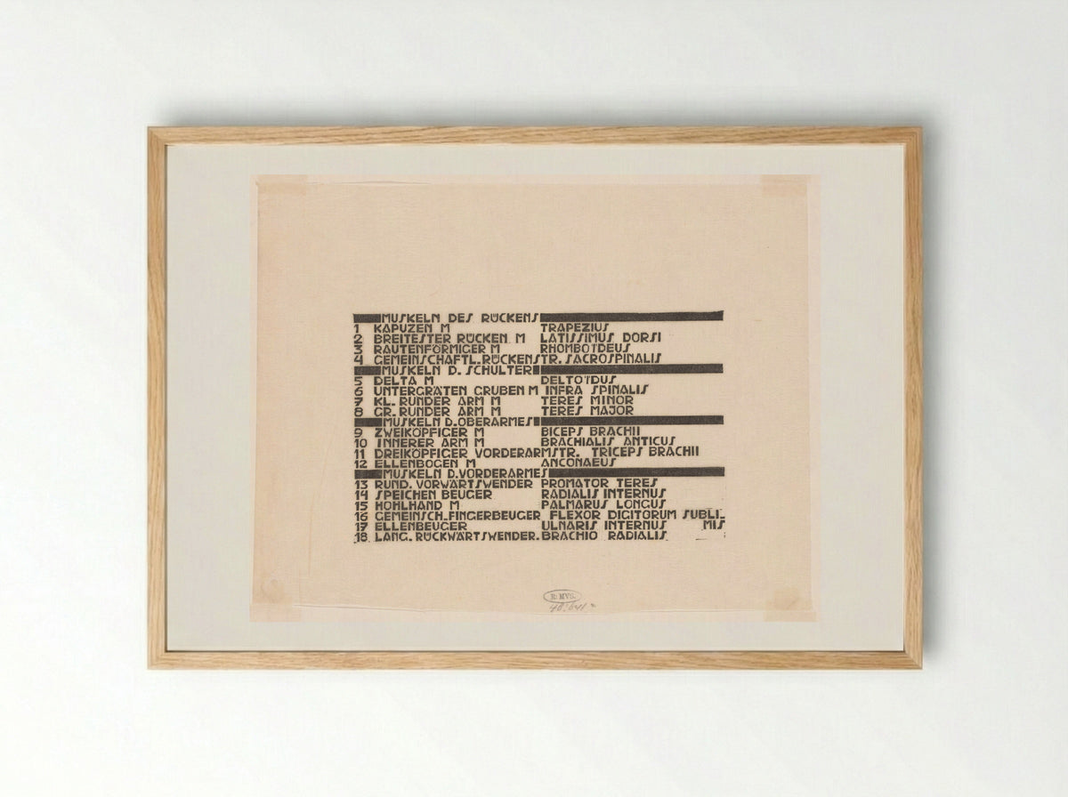 Lijst van rugspieren in Duits en Latijn - Reijer Stolk - Framed Print Wood