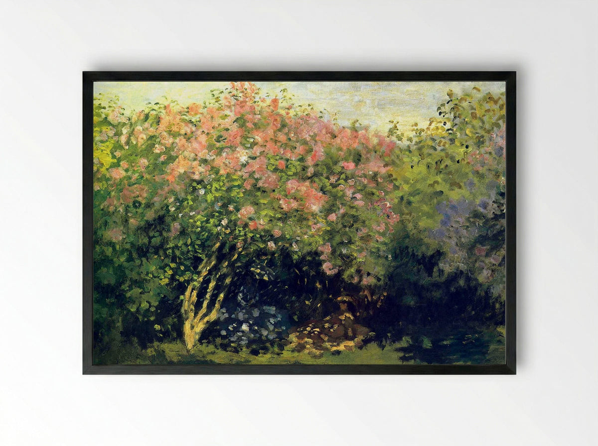 Lilacs in the Sun - Claude Monet - Framed Print Black