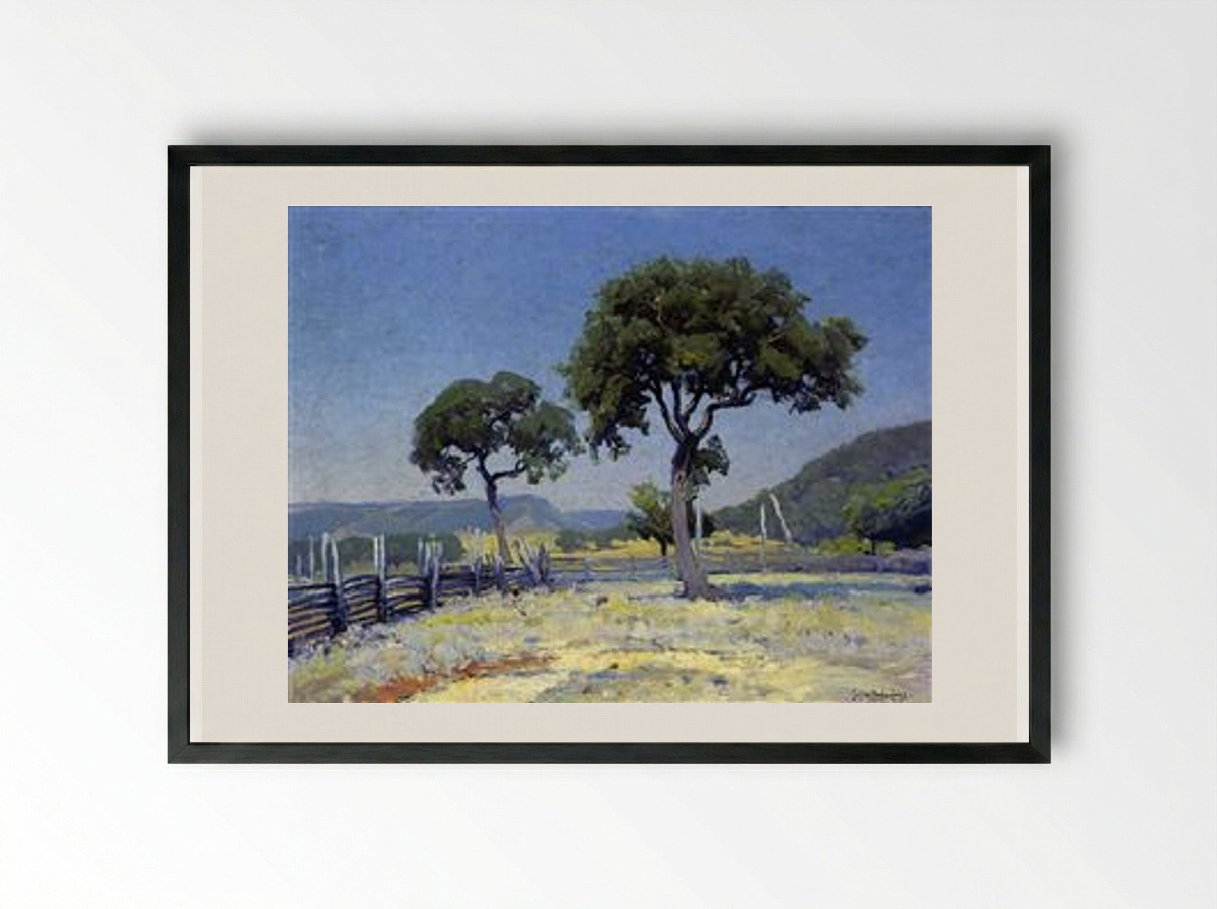 Live Oak Trees on Williams' Ranch, Bandera County - Robert Julian Onderdonk - Framed Print Black