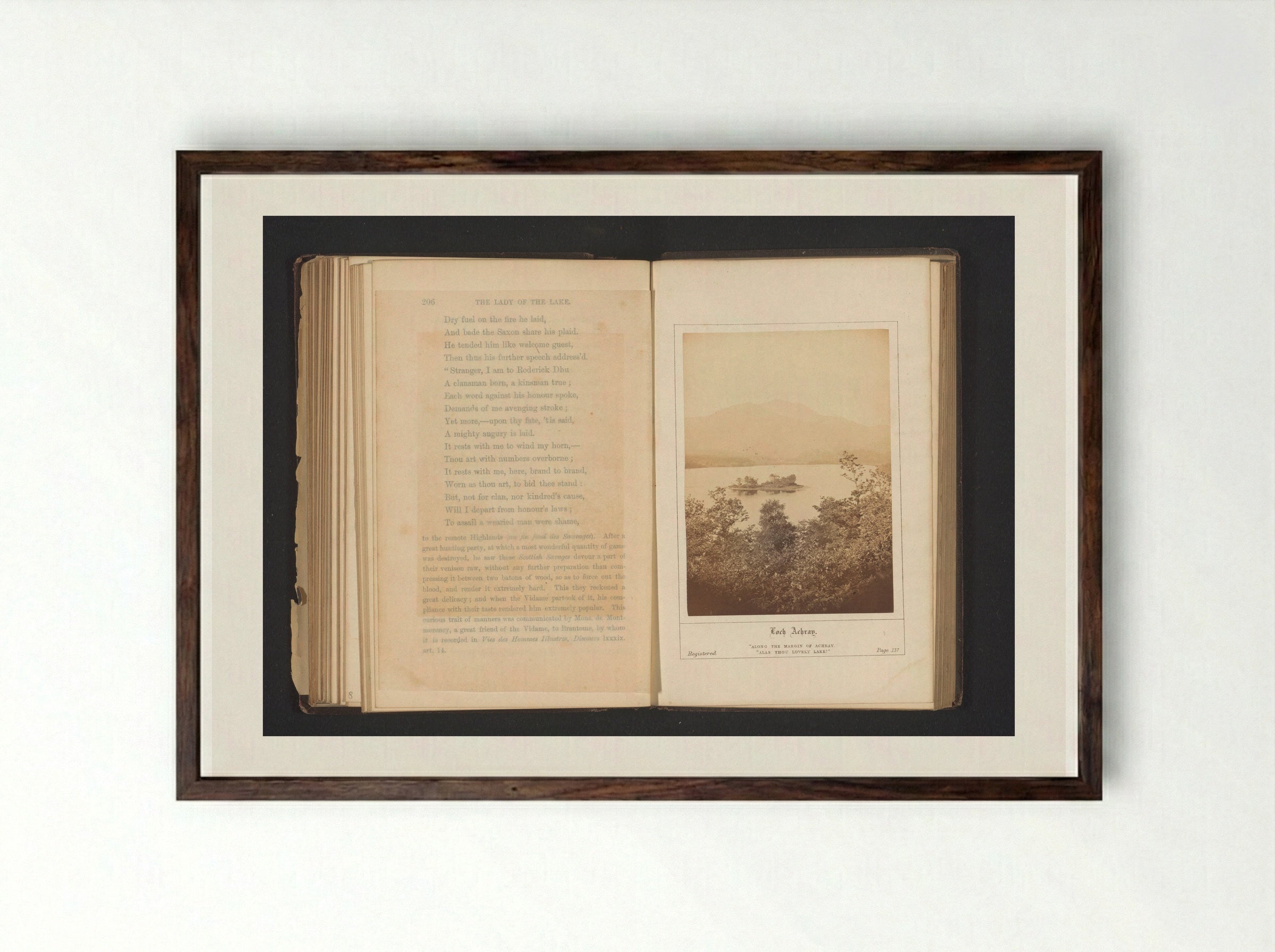 Loch Achray - George Washington Wilson - Framed Print Dark Wood