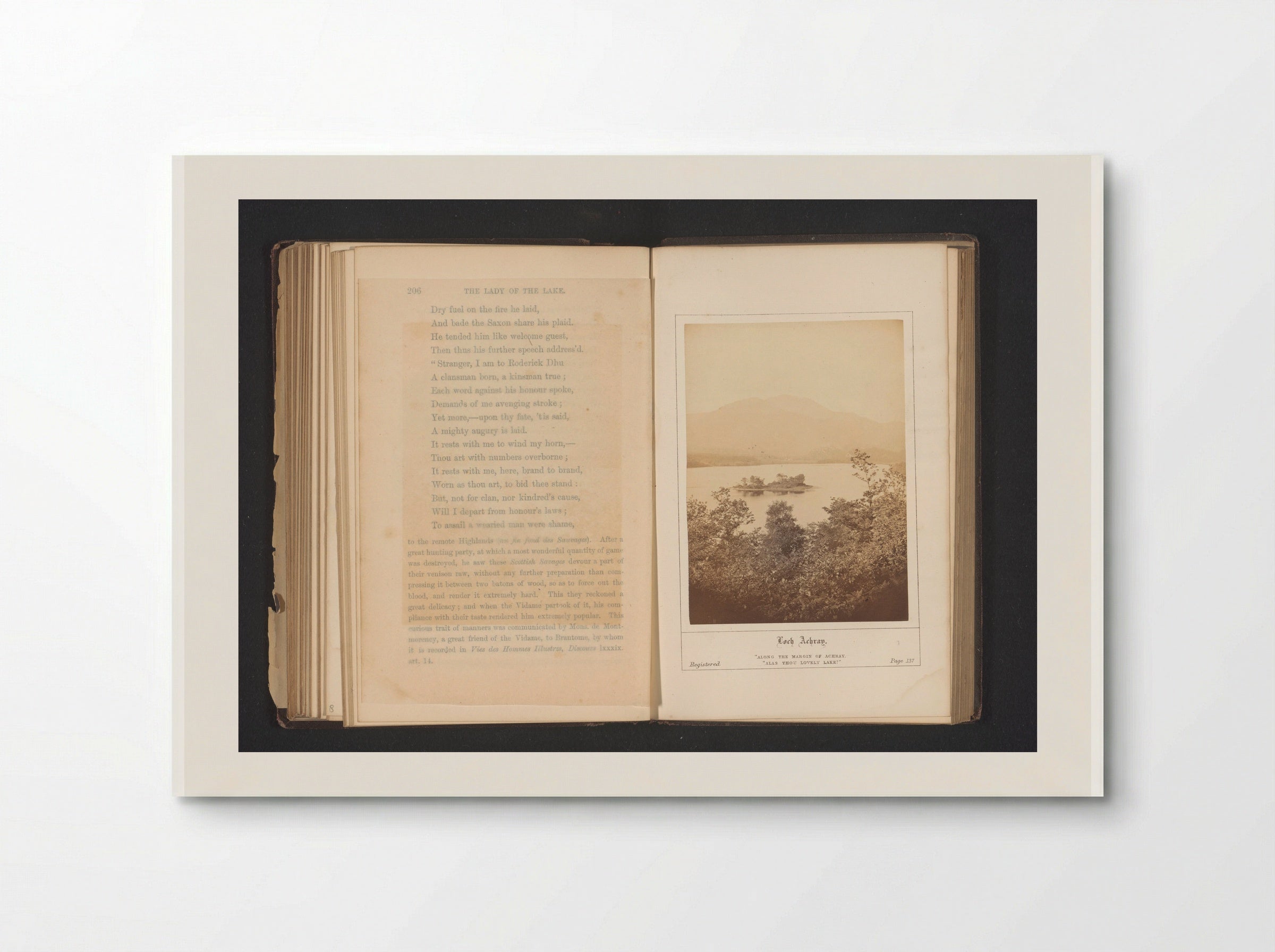 Loch Achray - George Washington Wilson - Poster
