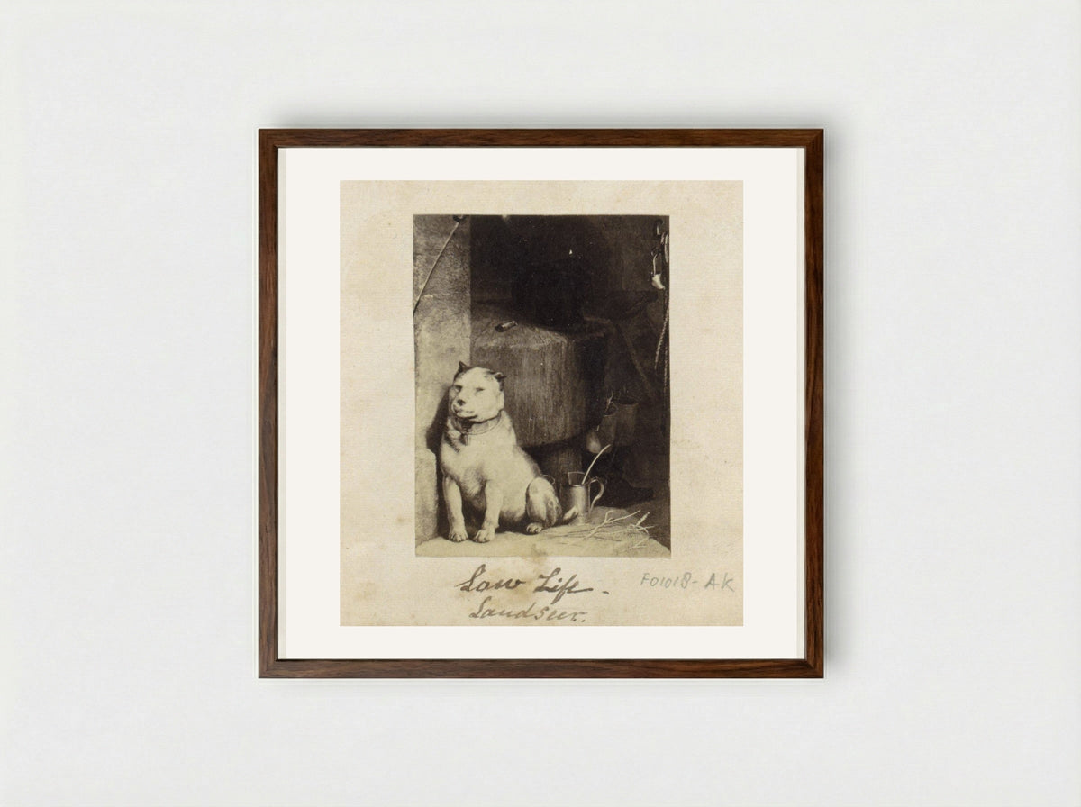 Low Life - Sir Edwin Henry Landseer - Framed Print Dark Wood