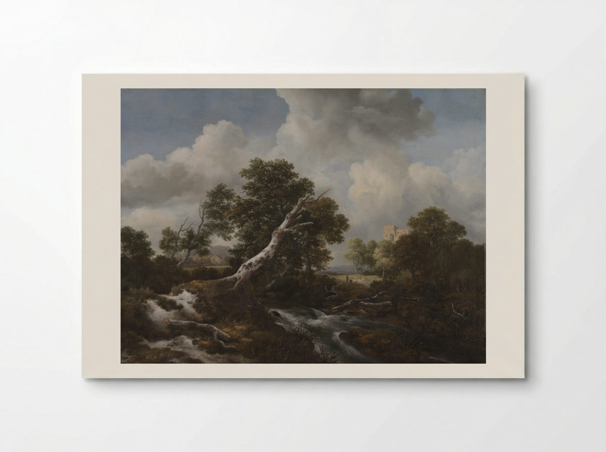 Low Waterfall in a Wooded Landscape with a Dead Beech Tree - Jacob van Ruisdael - Poster