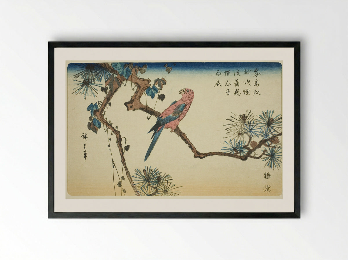 Macaw on Pine Branch - Utagawa Hiroshige - Framed Print Black