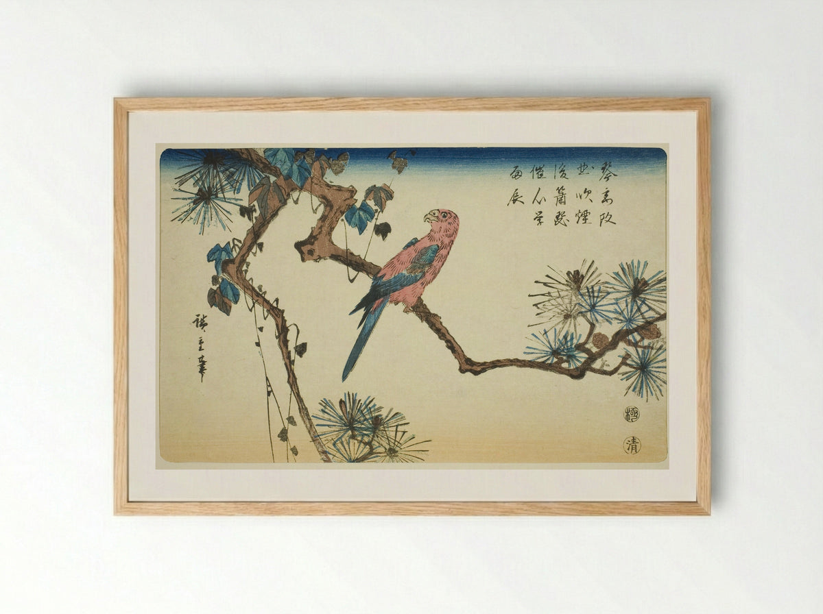 Macaw on Pine Branch - Utagawa Hiroshige - Framed Print Wood