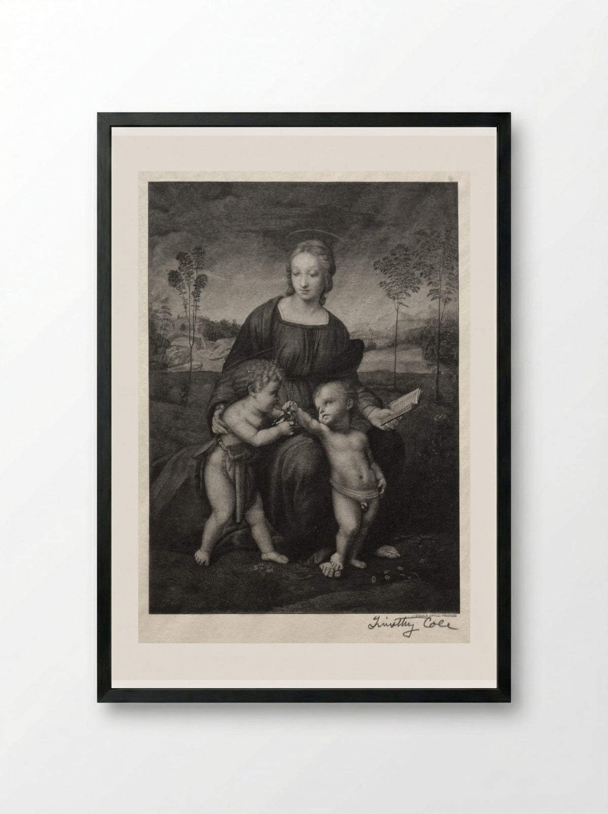 Madonna of the Goldfinch - Timothy Cole - Framed Print Black