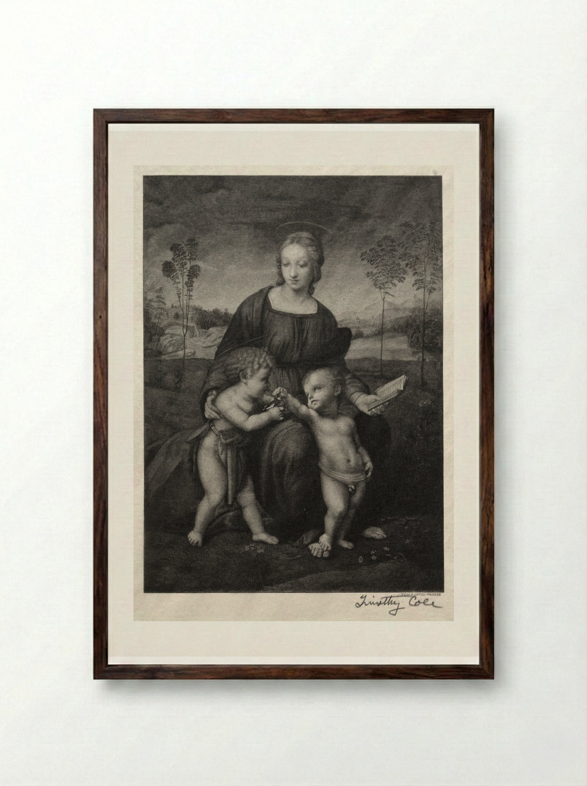 Madonna of the Goldfinch - Timothy Cole - Framed Print Dark Wood